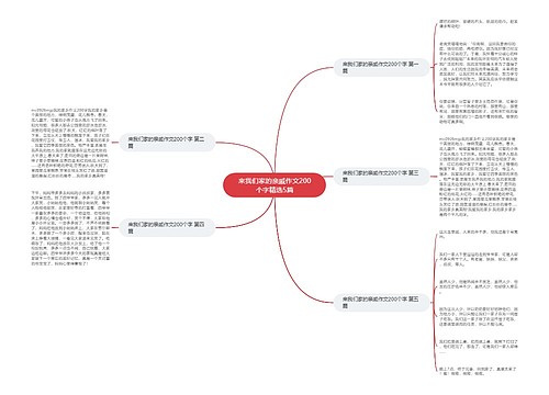 来我们家的亲戚作文200个字精选5篇