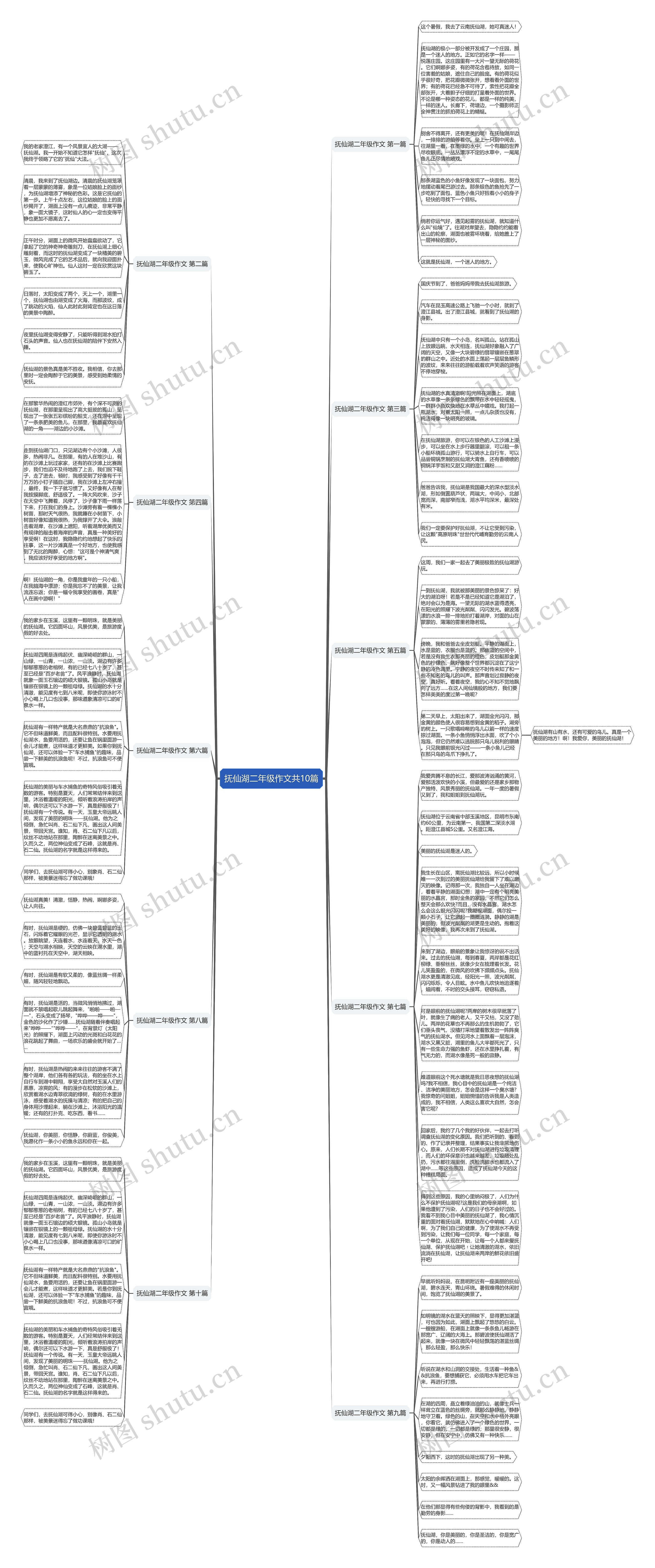 抚仙湖二年级作文共10篇思维导图