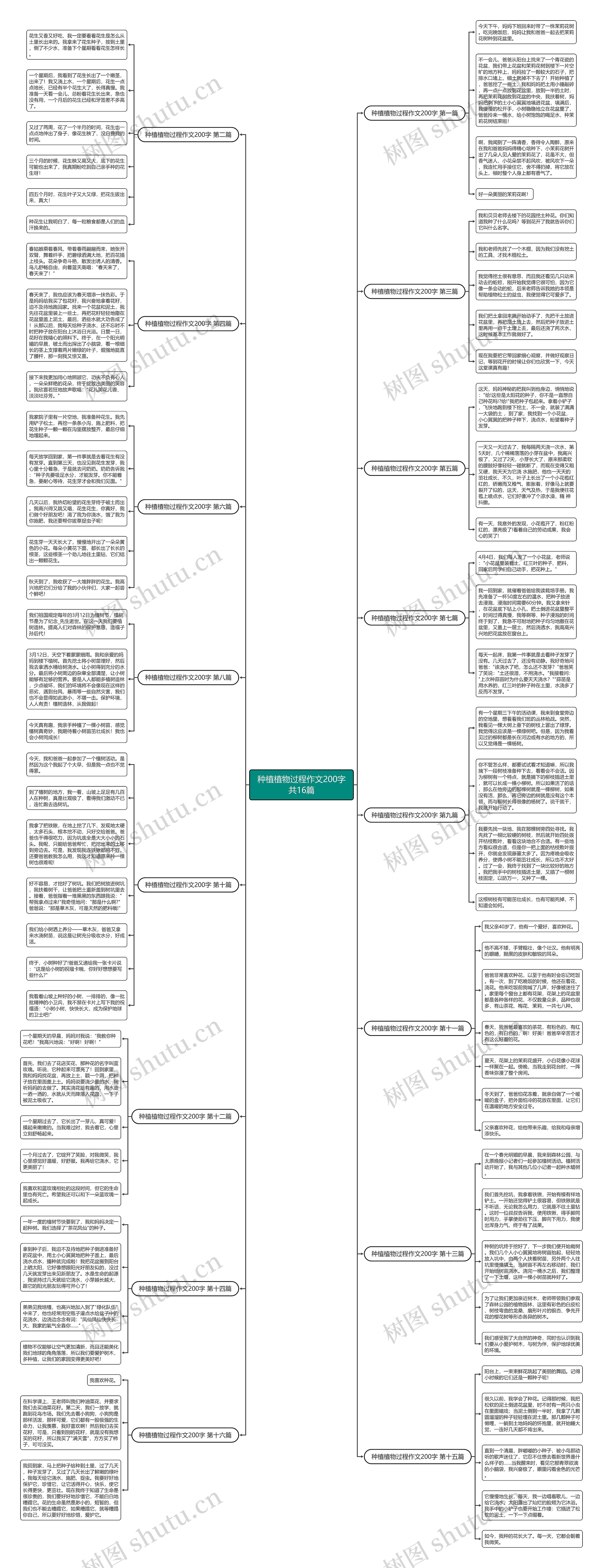 种植植物过程作文200字共16篇