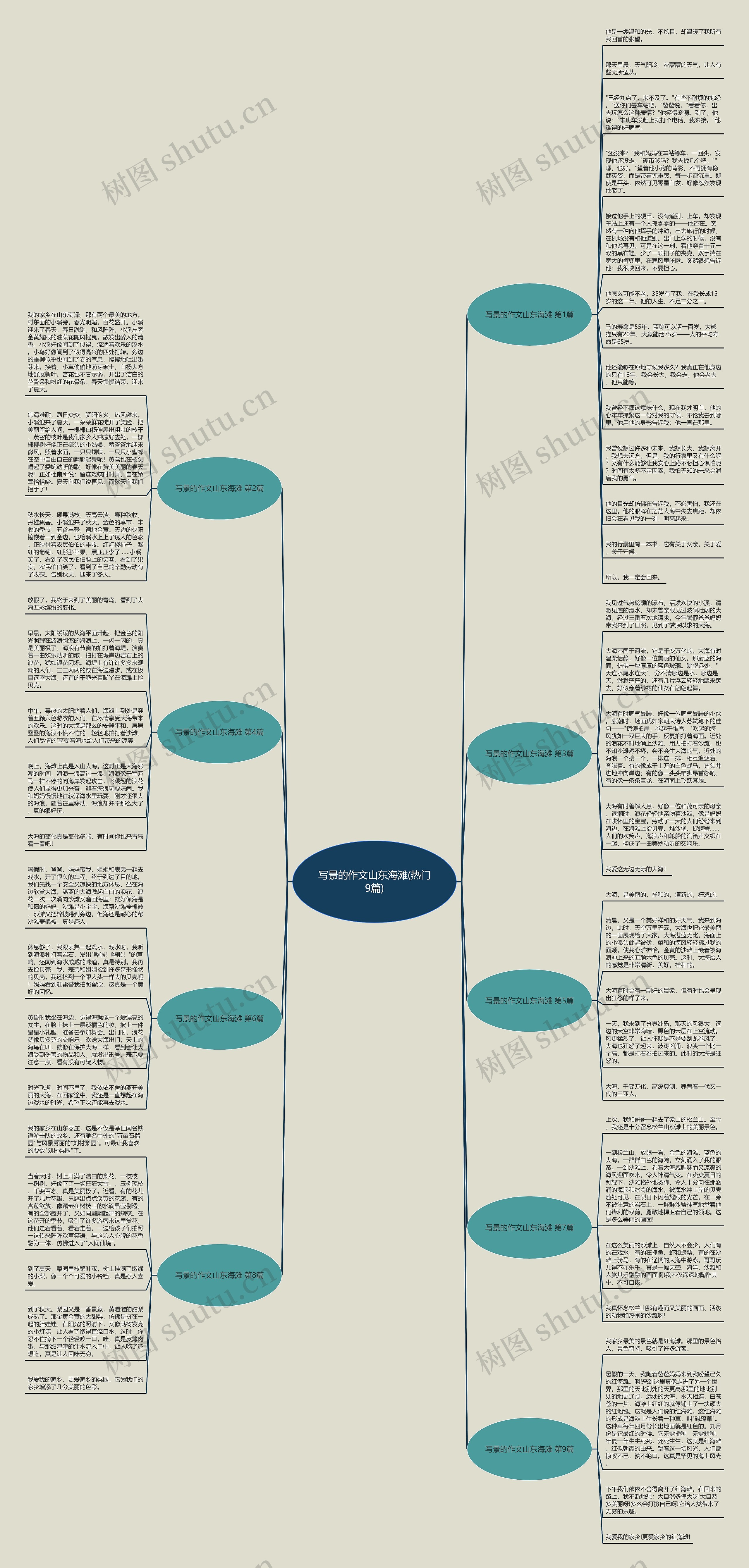 写景的作文山东海滩(热门9篇)思维导图