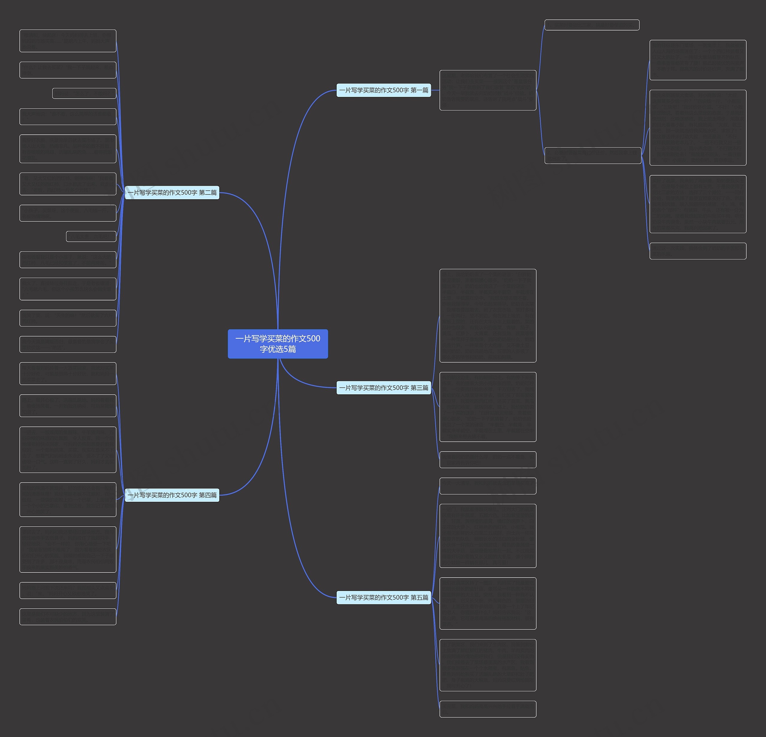 一片写学买菜的作文500字优选5篇思维导图