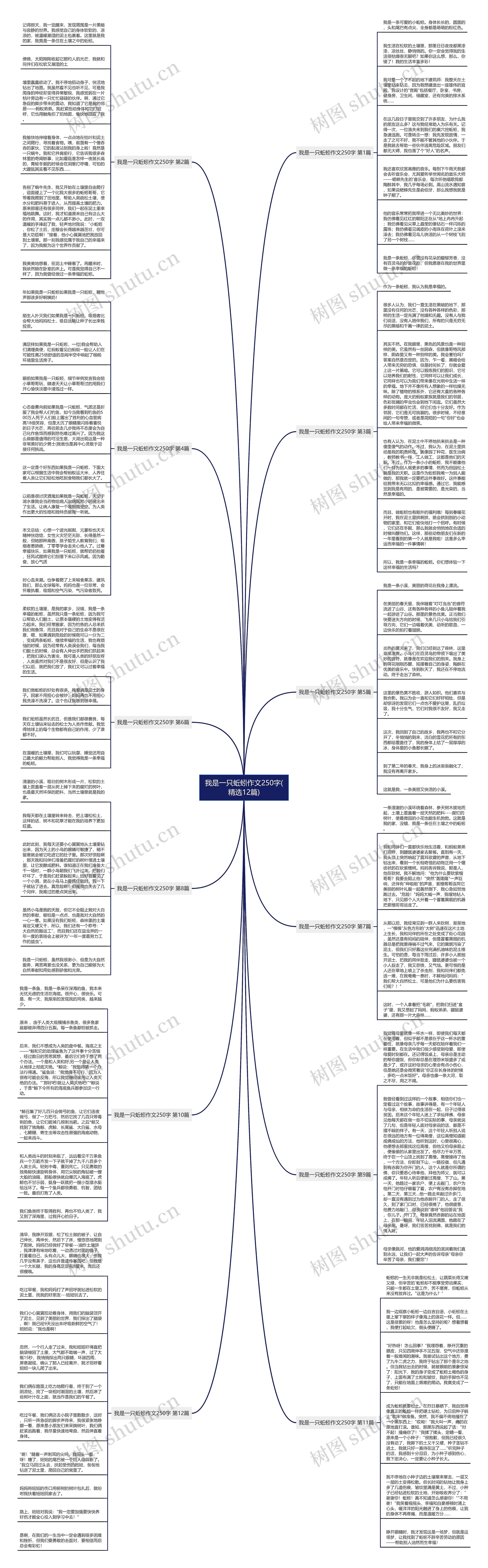 我是一只蚯蚓作文250字(精选12篇)思维导图