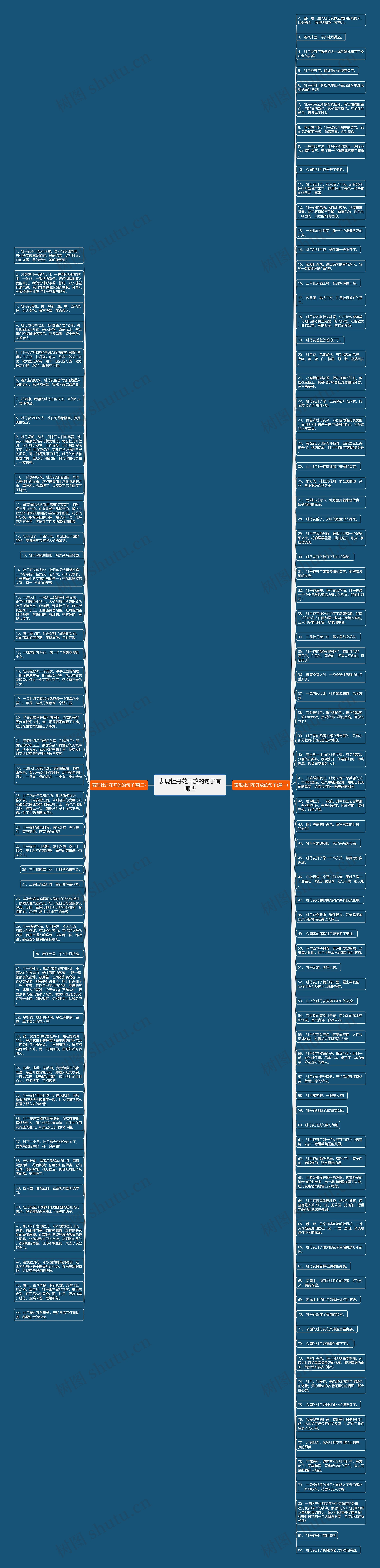 表现牡丹花开放的句子有哪些思维导图