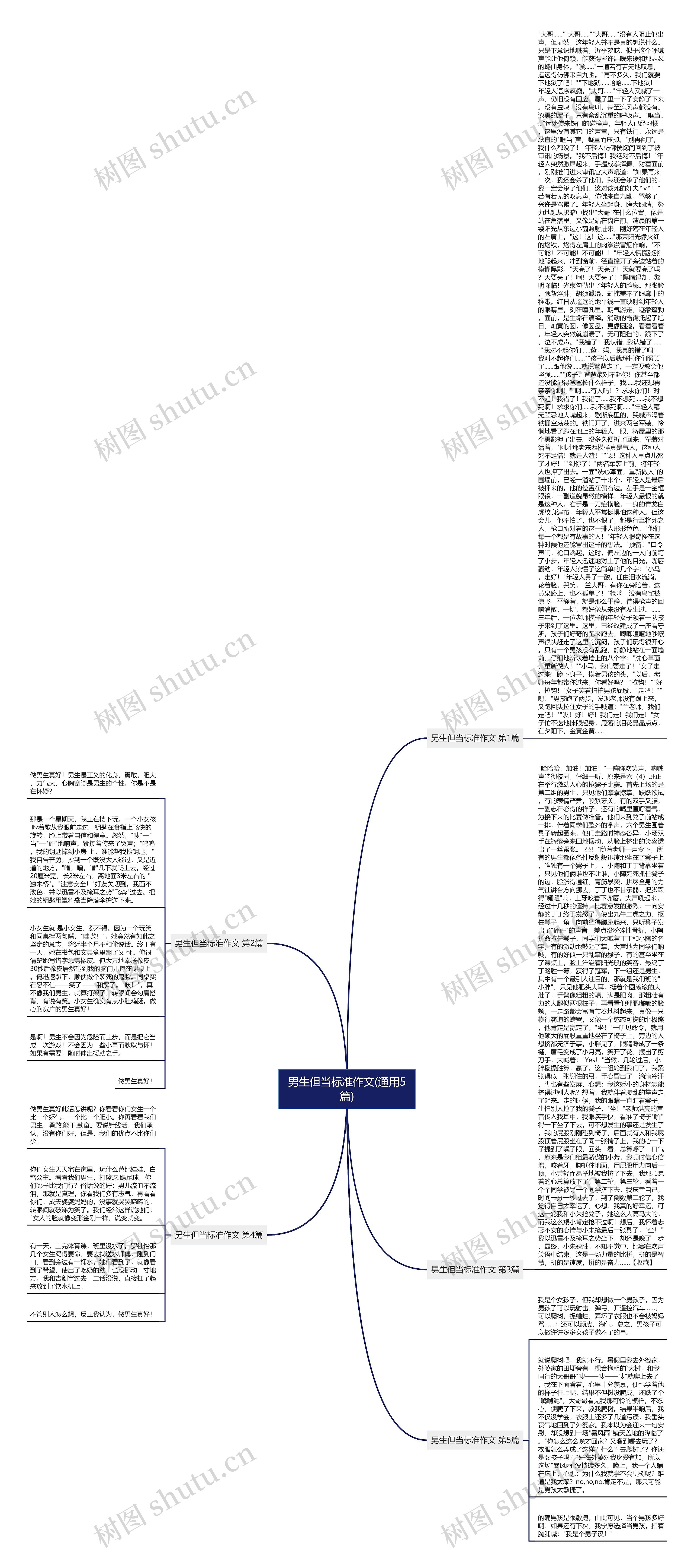 男生但当标准作文(通用5篇)思维导图
