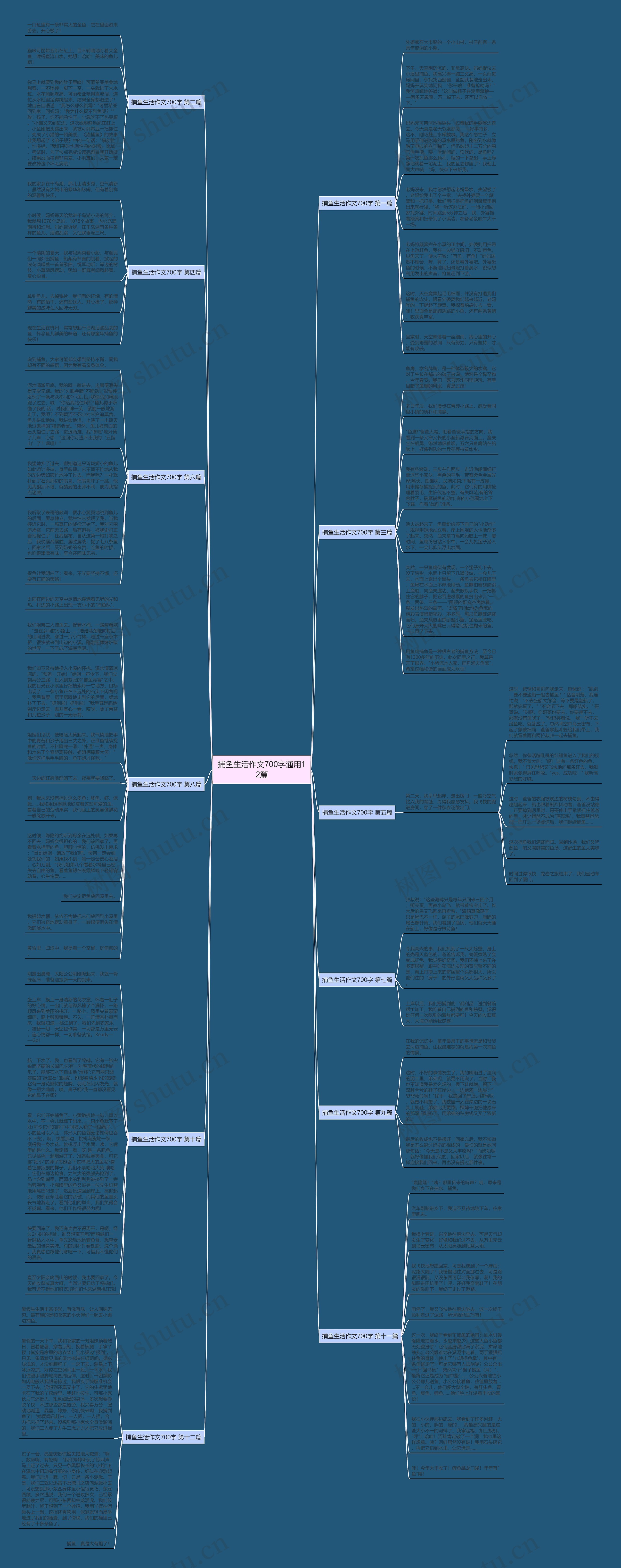 捕鱼生活作文700字通用12篇思维导图
