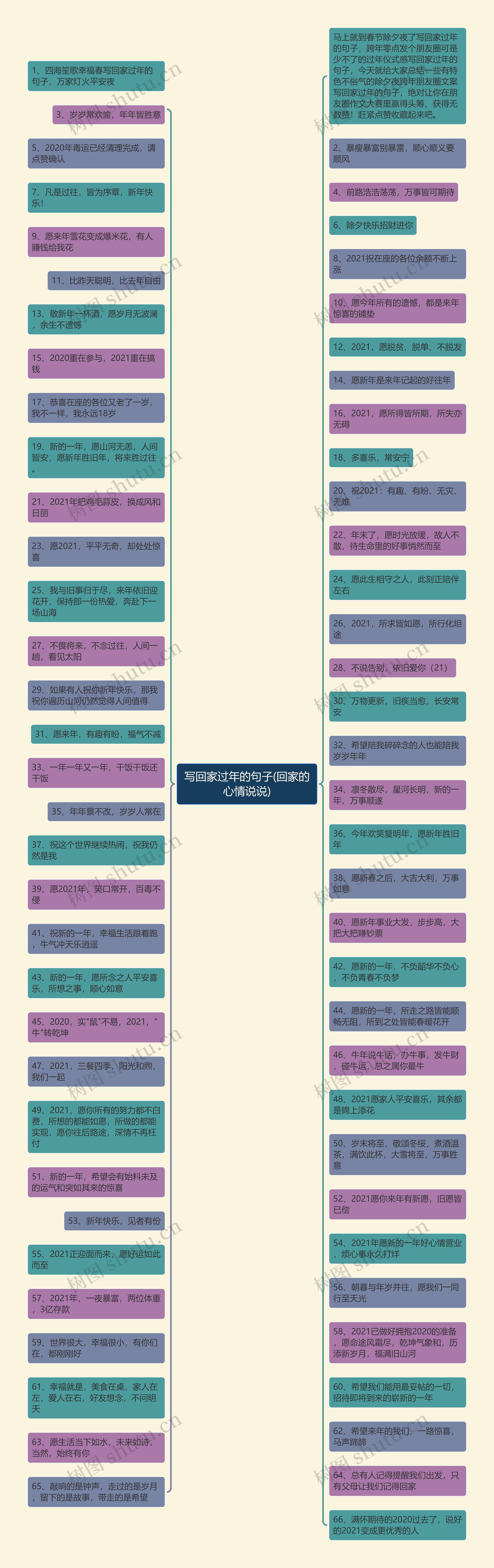 写回家过年的句子(回家的心情说说)思维导图