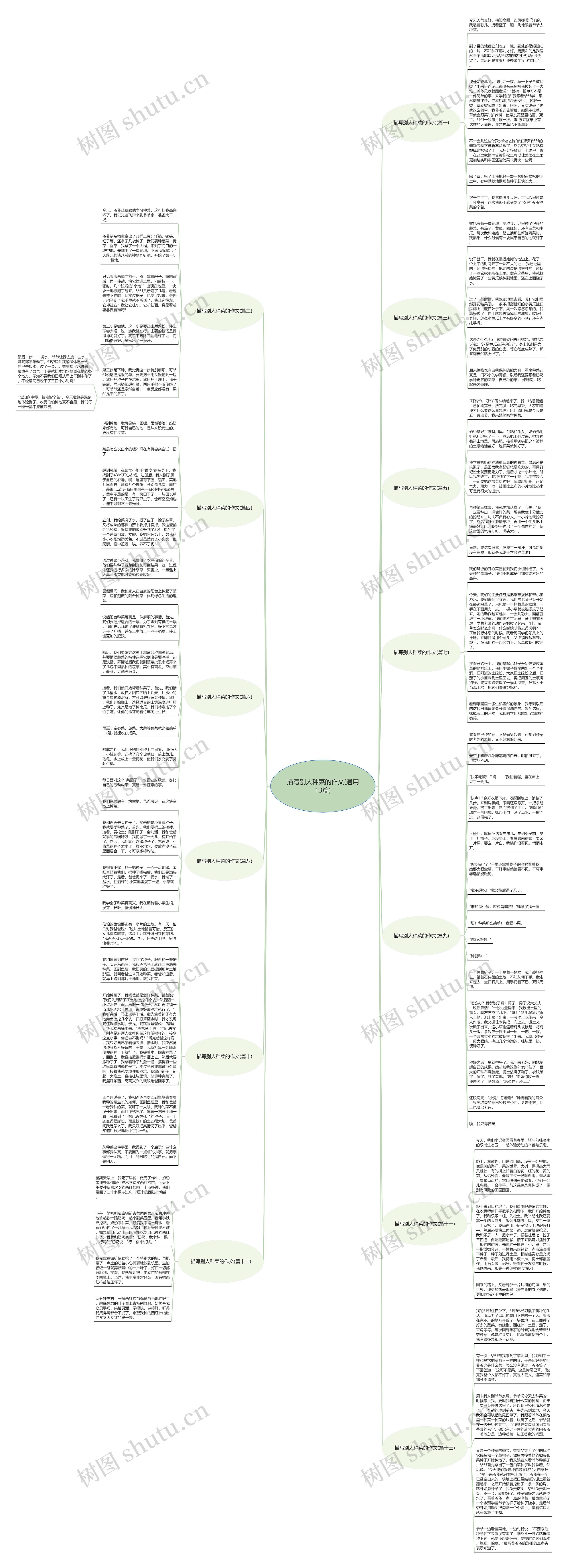 描写别人种菜的作文(通用13篇)思维导图