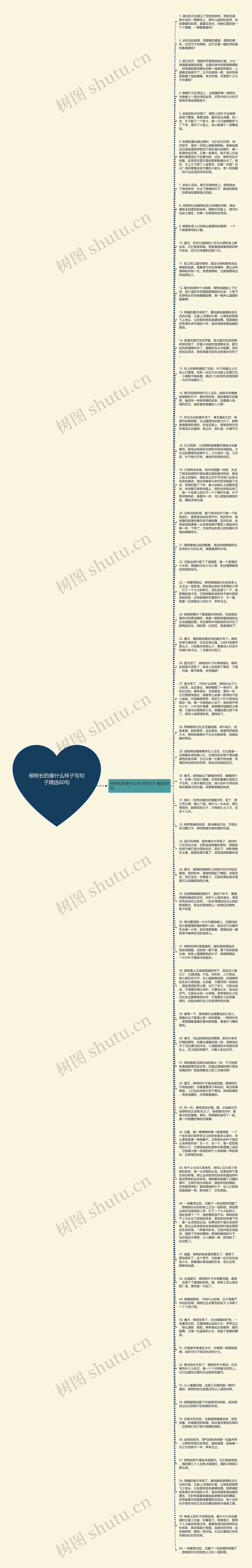 柳树长的像什么样子写句子精选60句