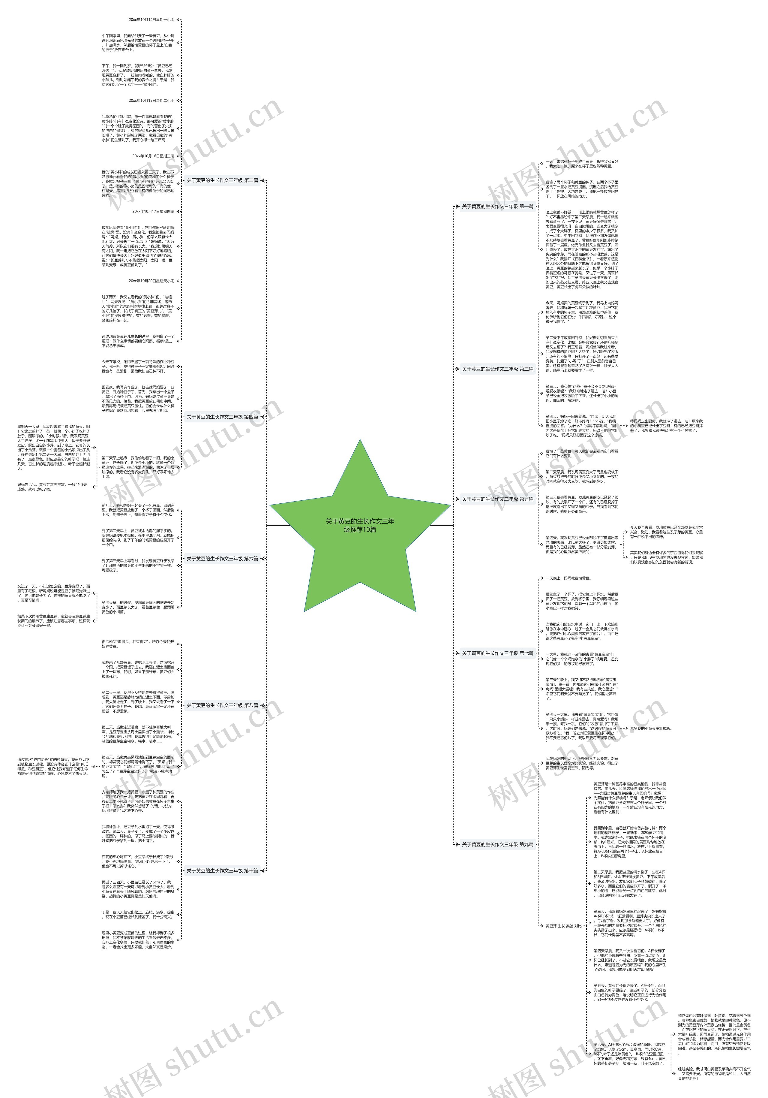 关于黄豆的生长作文三年级推荐10篇思维导图