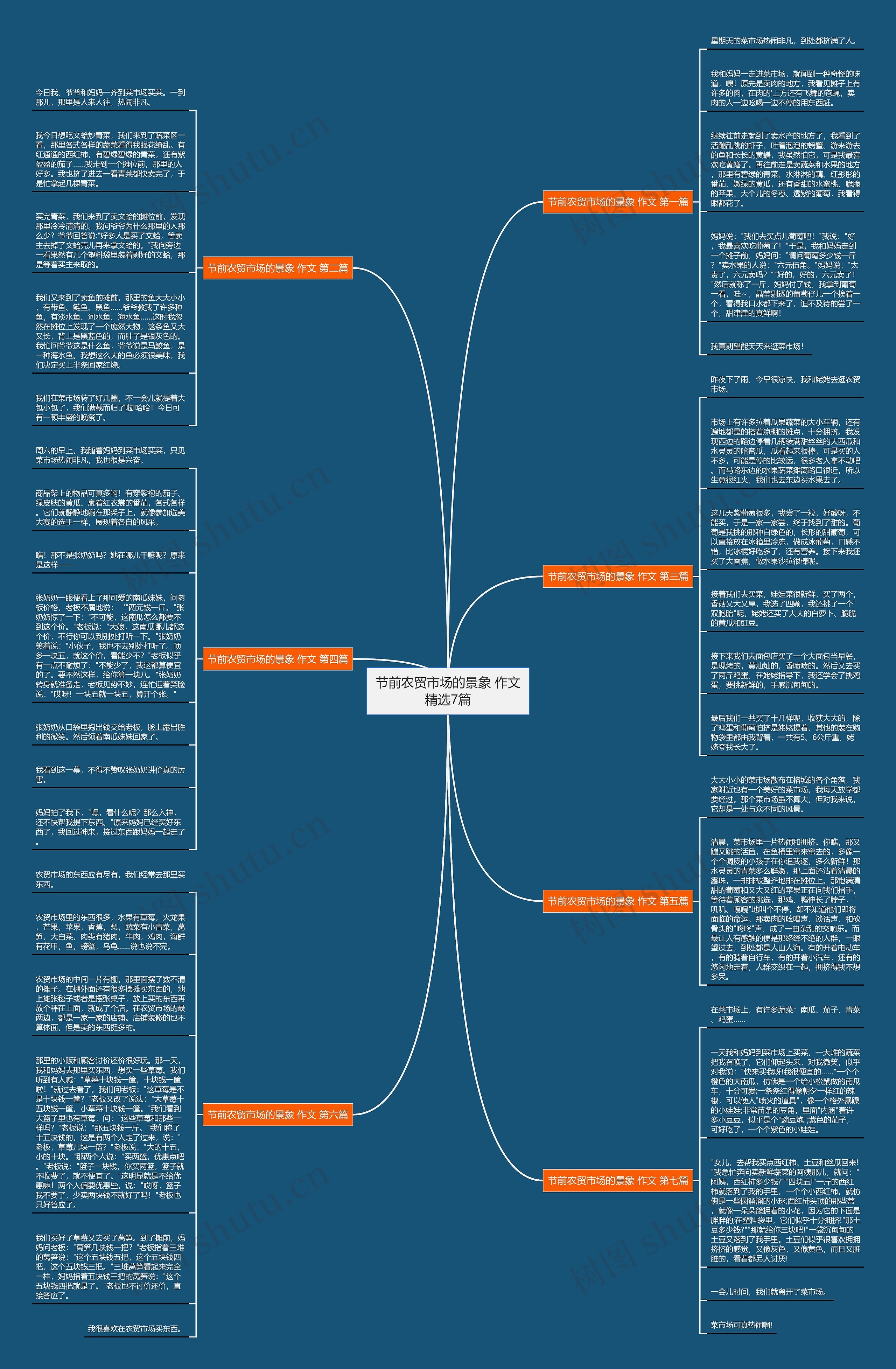 节前农贸市场的景象 作文精选7篇思维导图