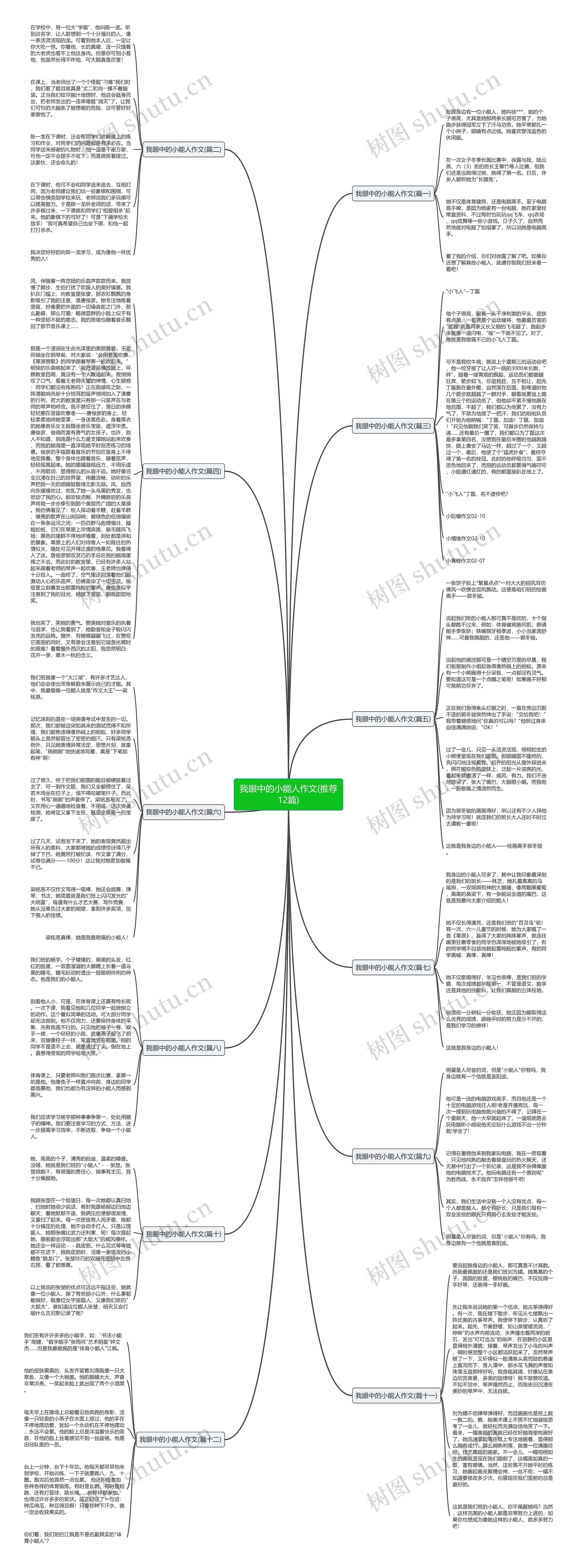 我眼中的小能人作文(推荐12篇) 我眼中的小能人作文(推荐12篇)