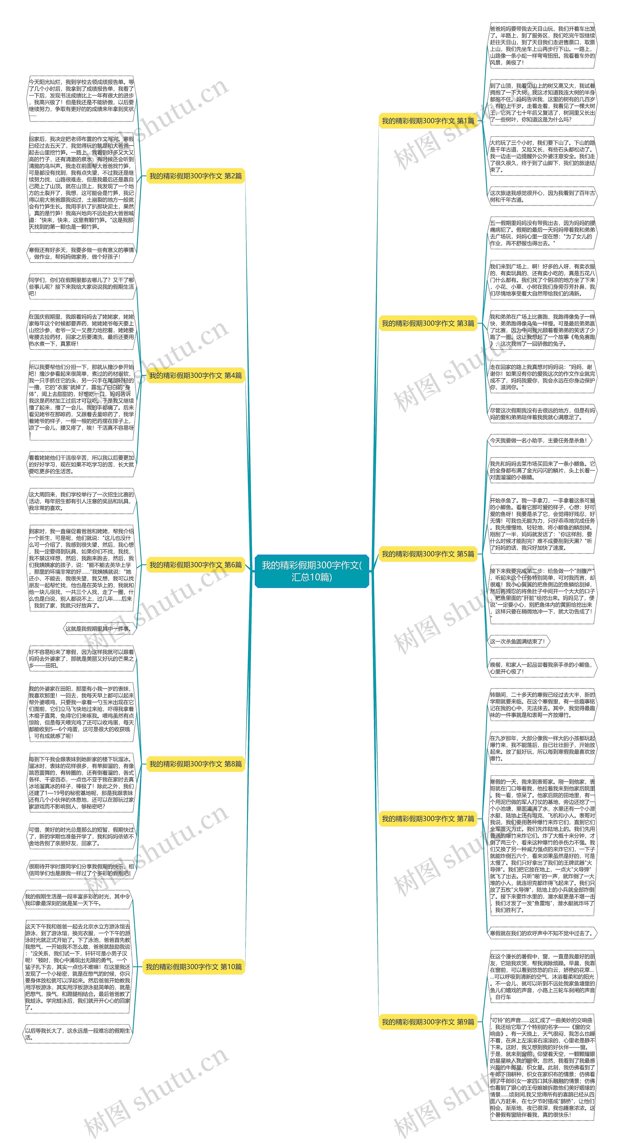 我的精彩假期300字作文(汇总10篇)思维导图