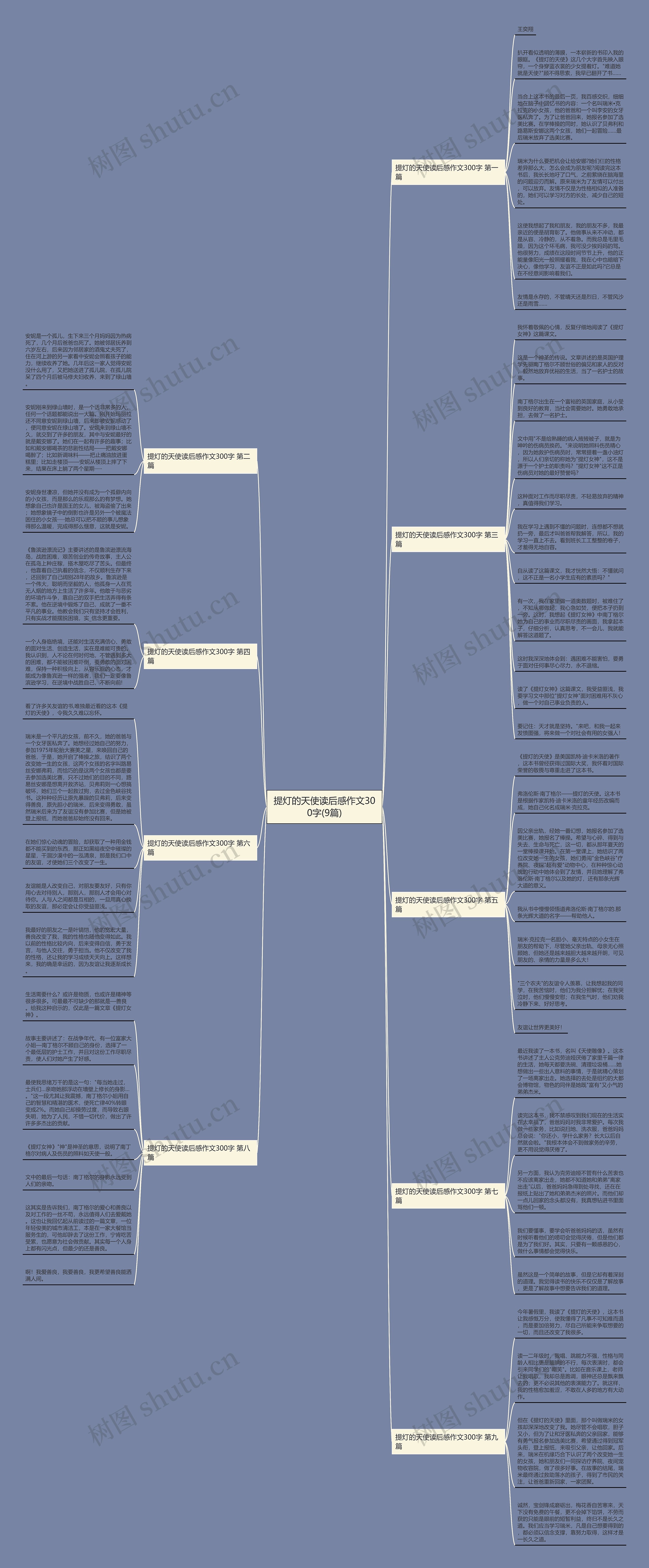 提灯的天使读后感作文300字(9篇)思维导图