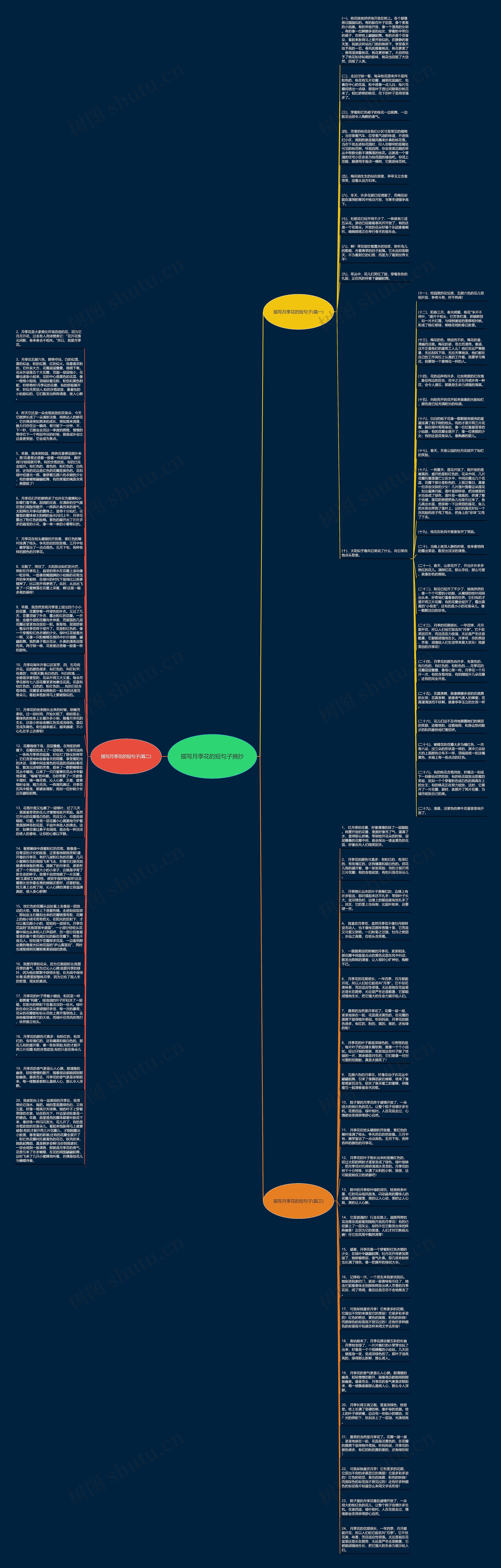 描写月季花的短句子摘抄思维导图