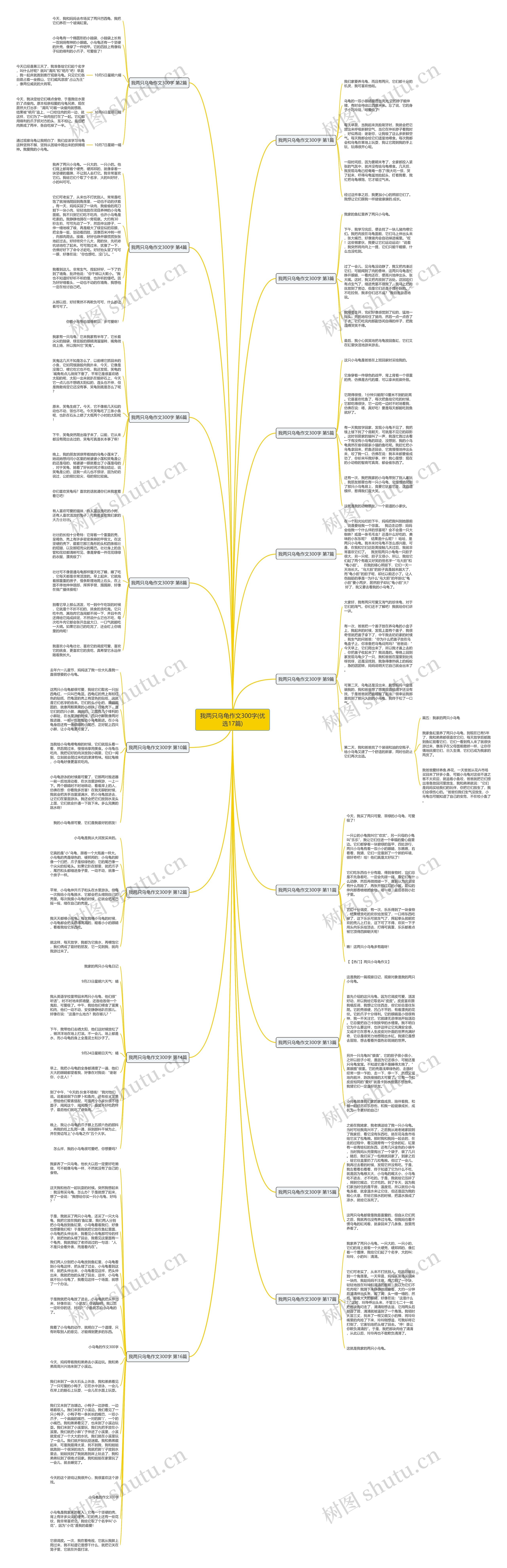 我两只乌龟作文300字(优选17篇)思维导图