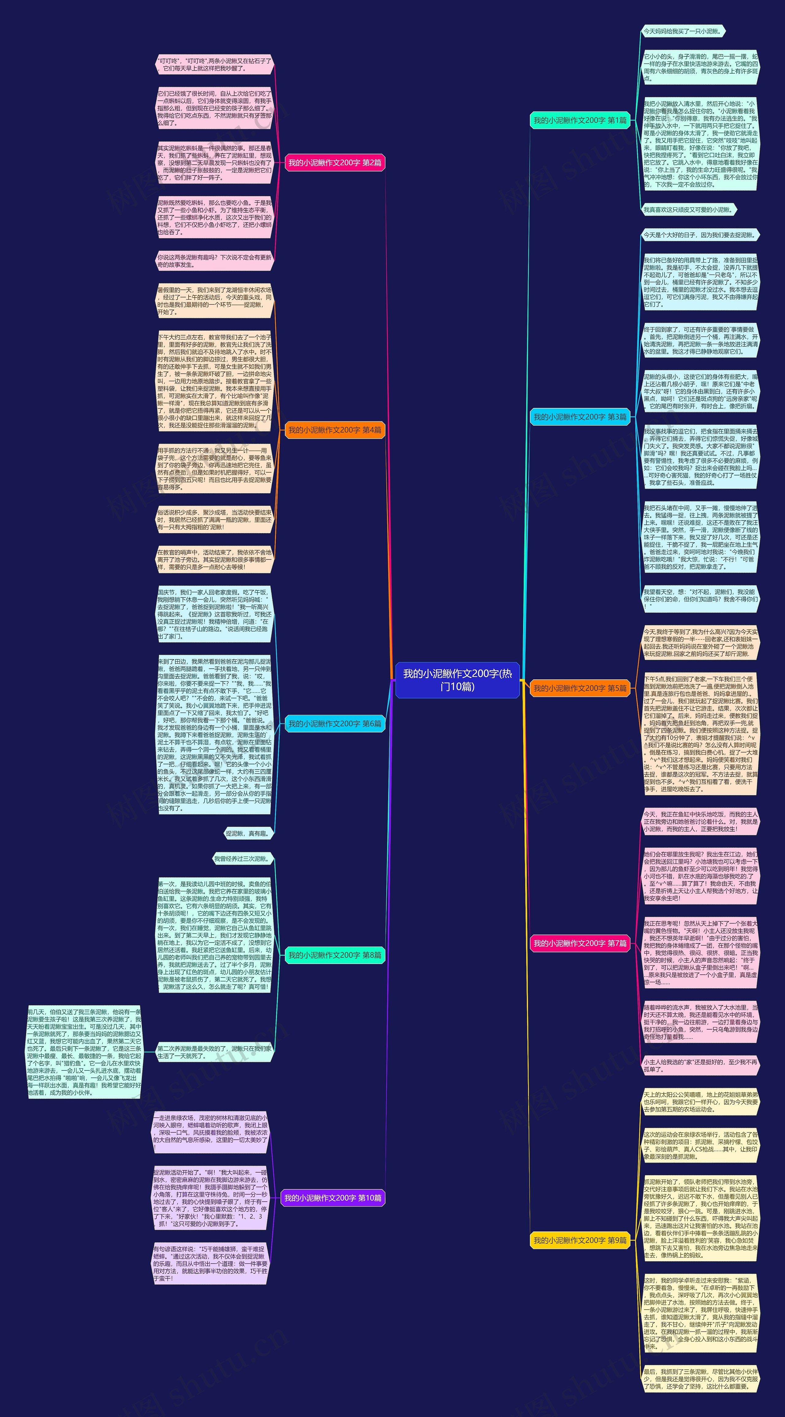 我的小泥鳅作文200字(热门10篇)思维导图