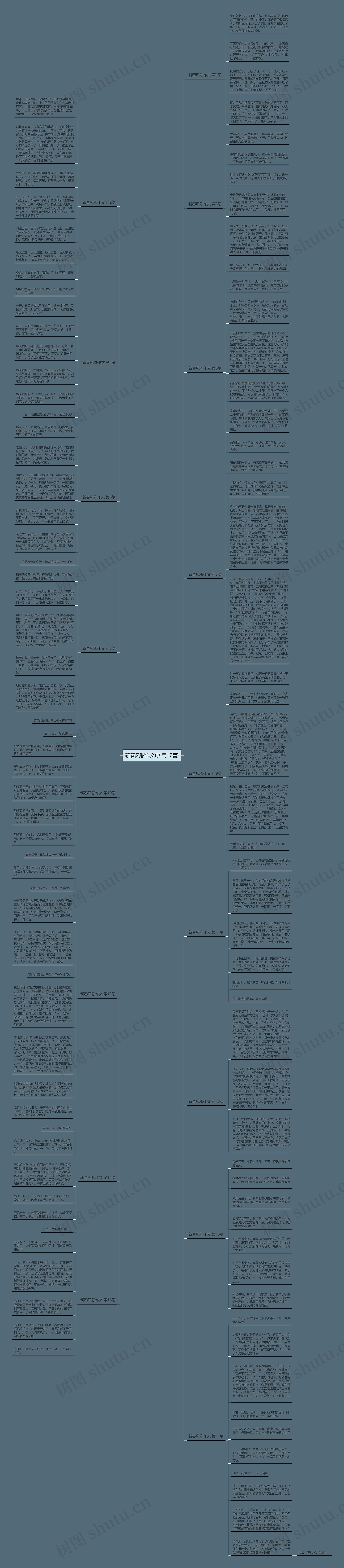 新春风彩作文(实用17篇)思维导图