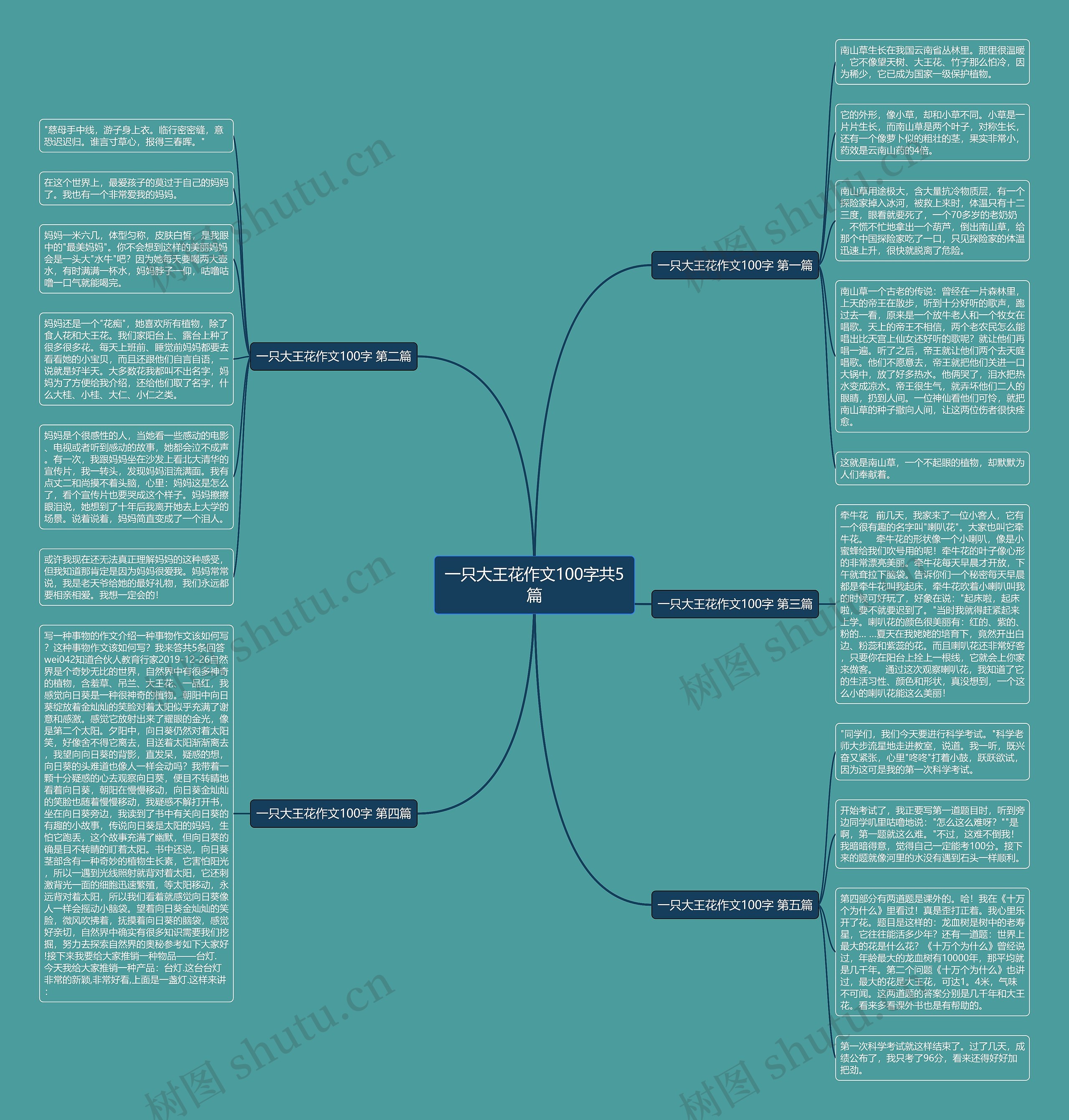 一只大王花作文100字共5篇思维导图