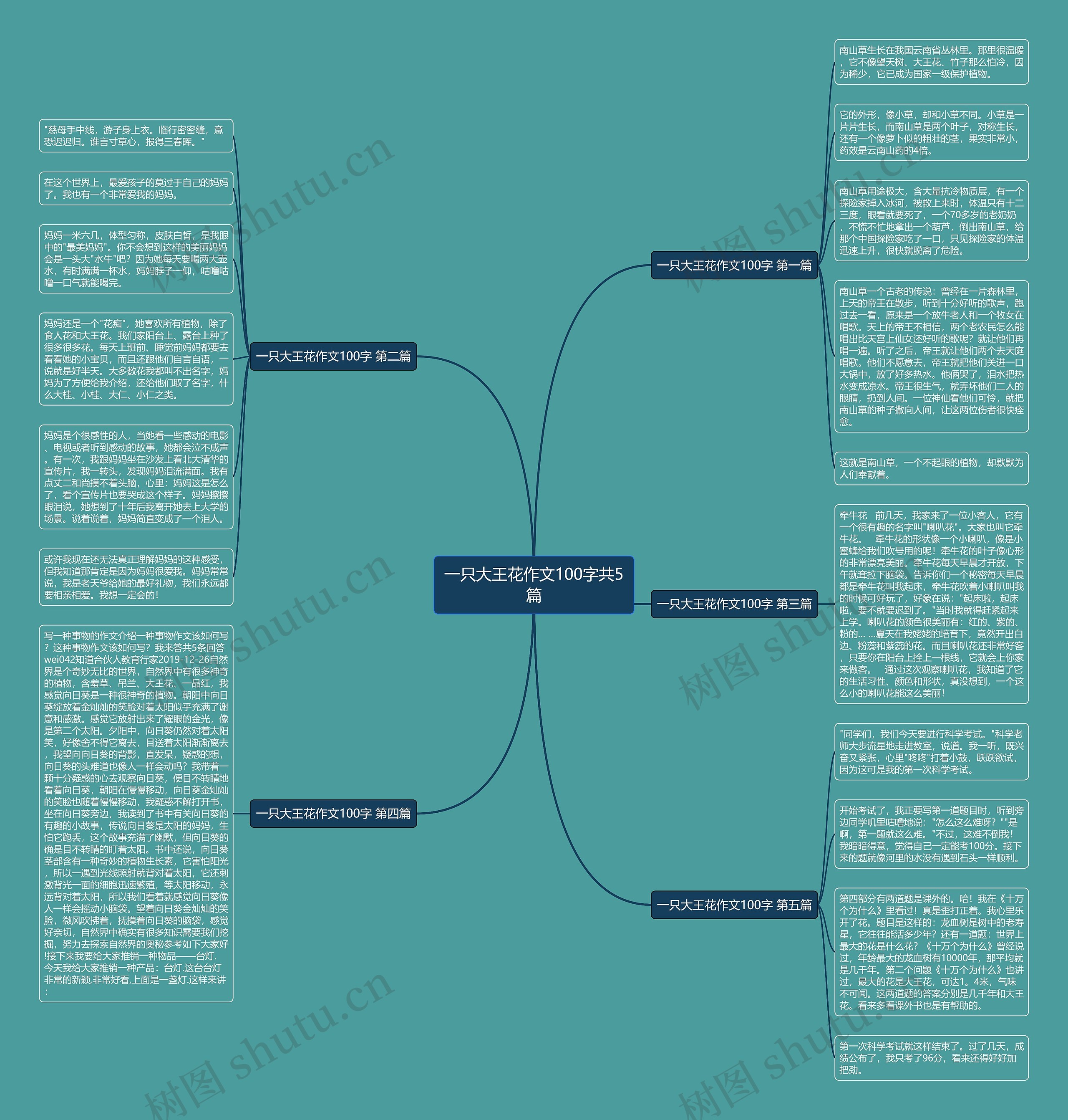一只大王花作文100字共5篇 一只大王花作文100字共5篇