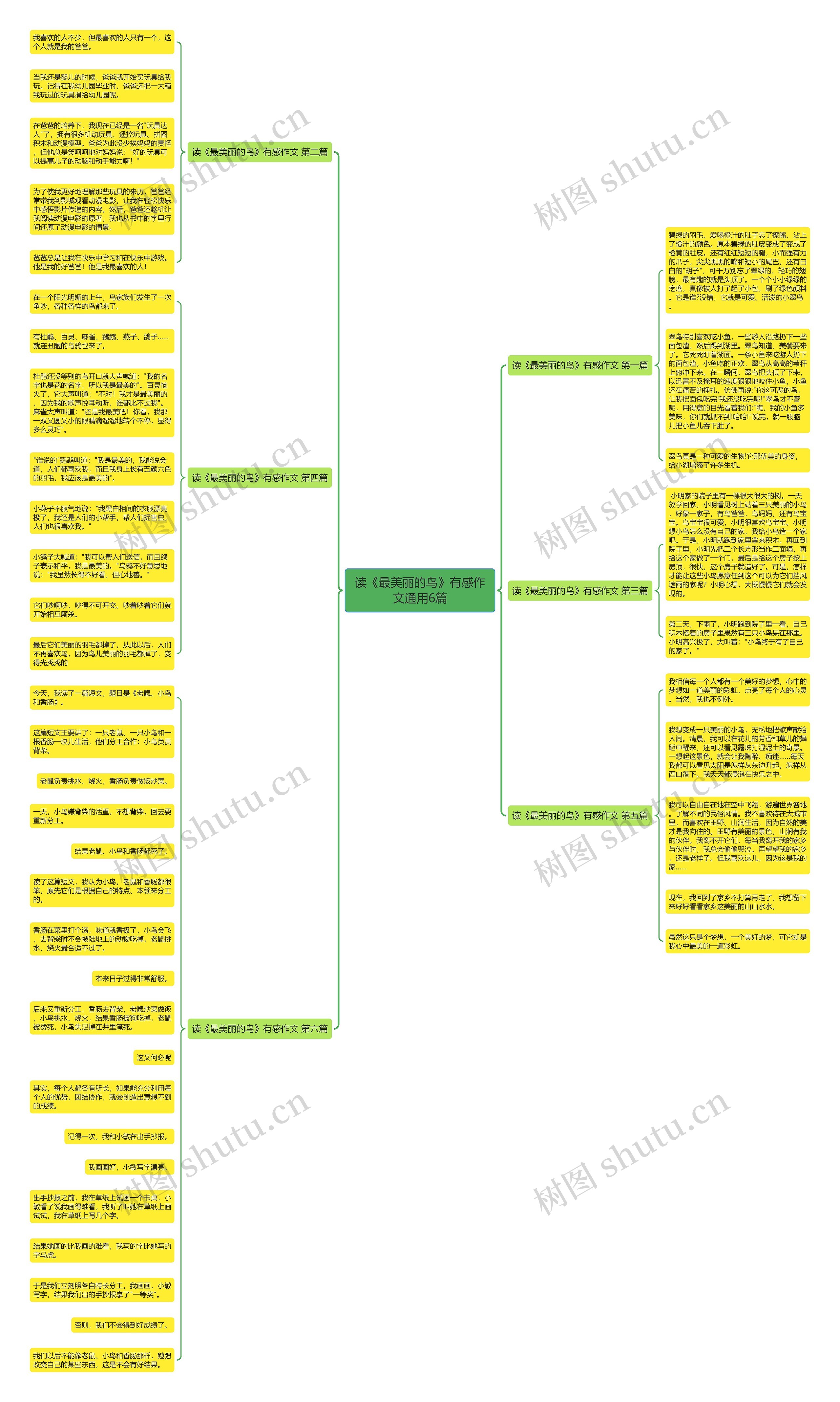 读《最美丽的鸟》有感作文通用6篇 读《最美丽的鸟》有感作文通用6篇