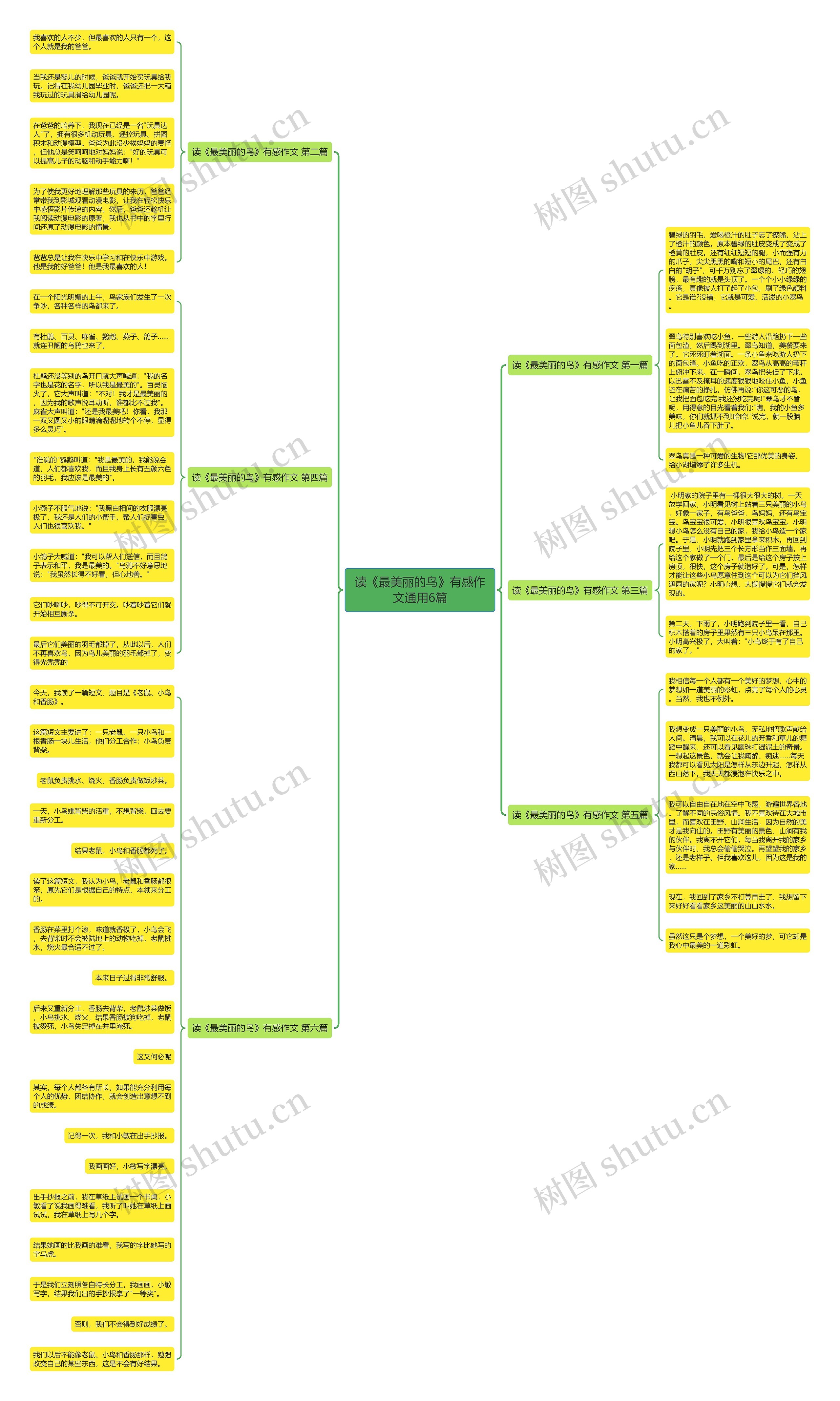 读《最美丽的鸟》有感作文通用6篇思维导图