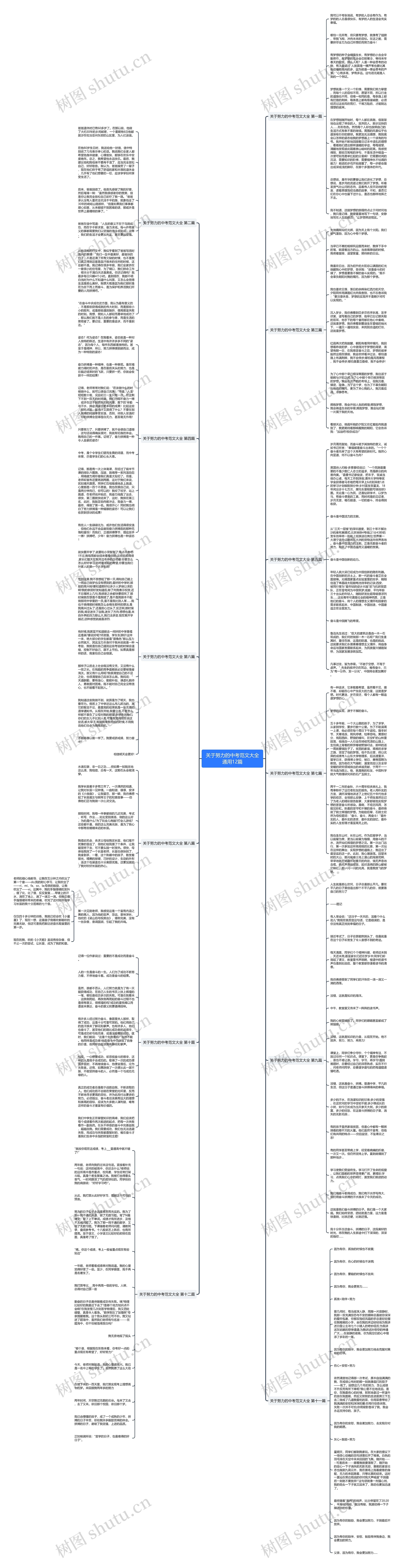 关于努力的中考范文大全通用12篇思维导图