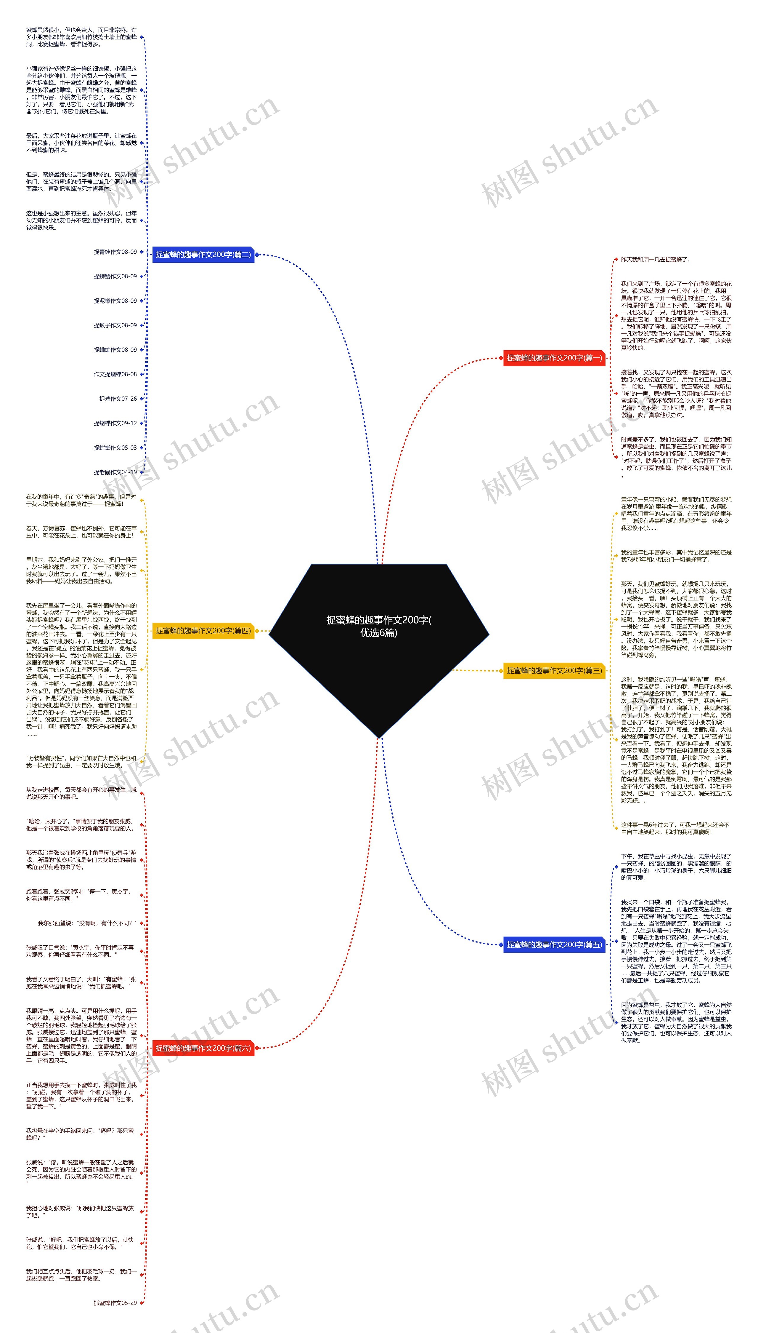 捉蜜蜂的趣事作文200字(优选6篇)思维导图
