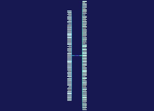 低收入句子精选156句