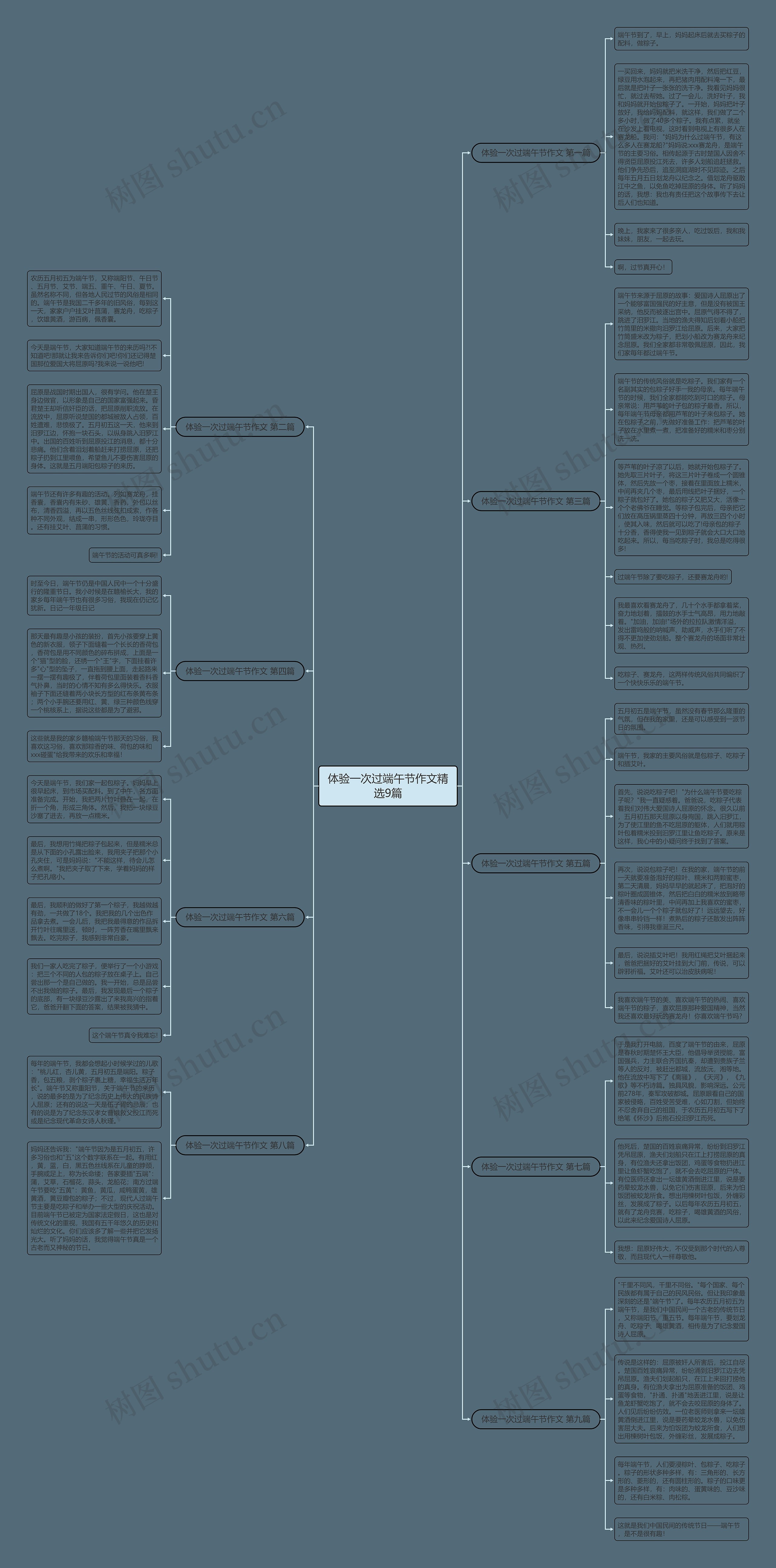 体验一次过端午节作文精选9篇思维导图