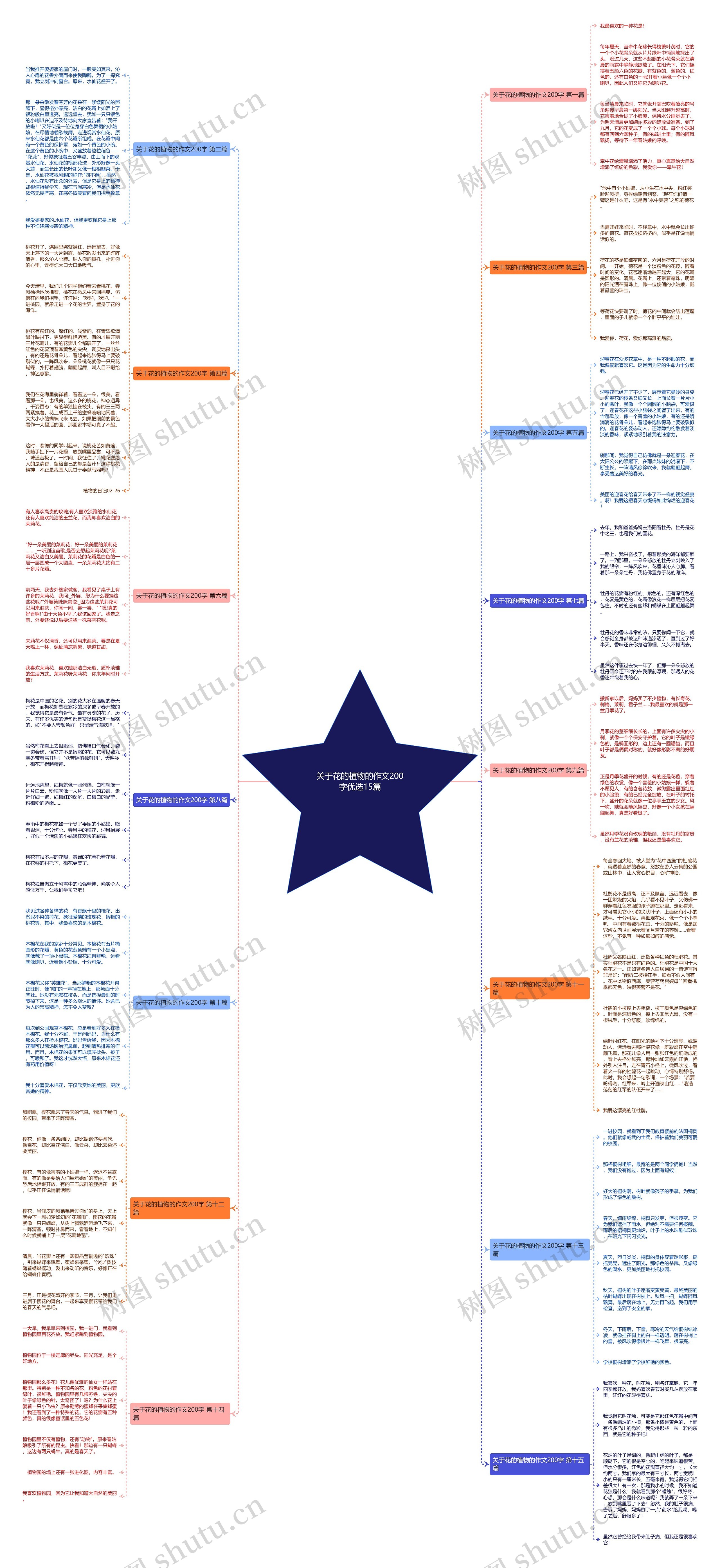 关于花的植物的作文200字优选15篇思维导图
