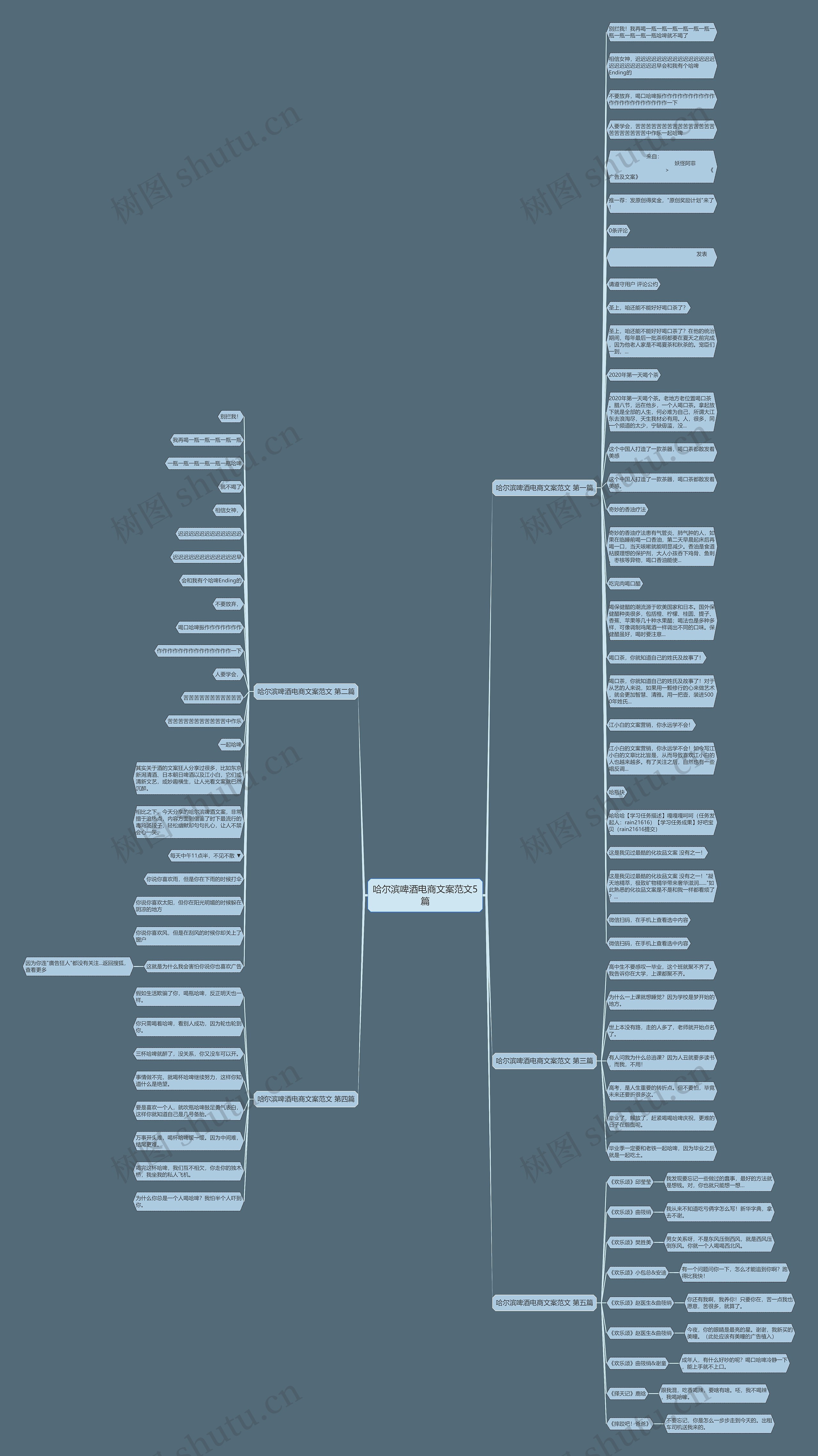 哈尔滨啤酒电商文案范文5篇思维导图