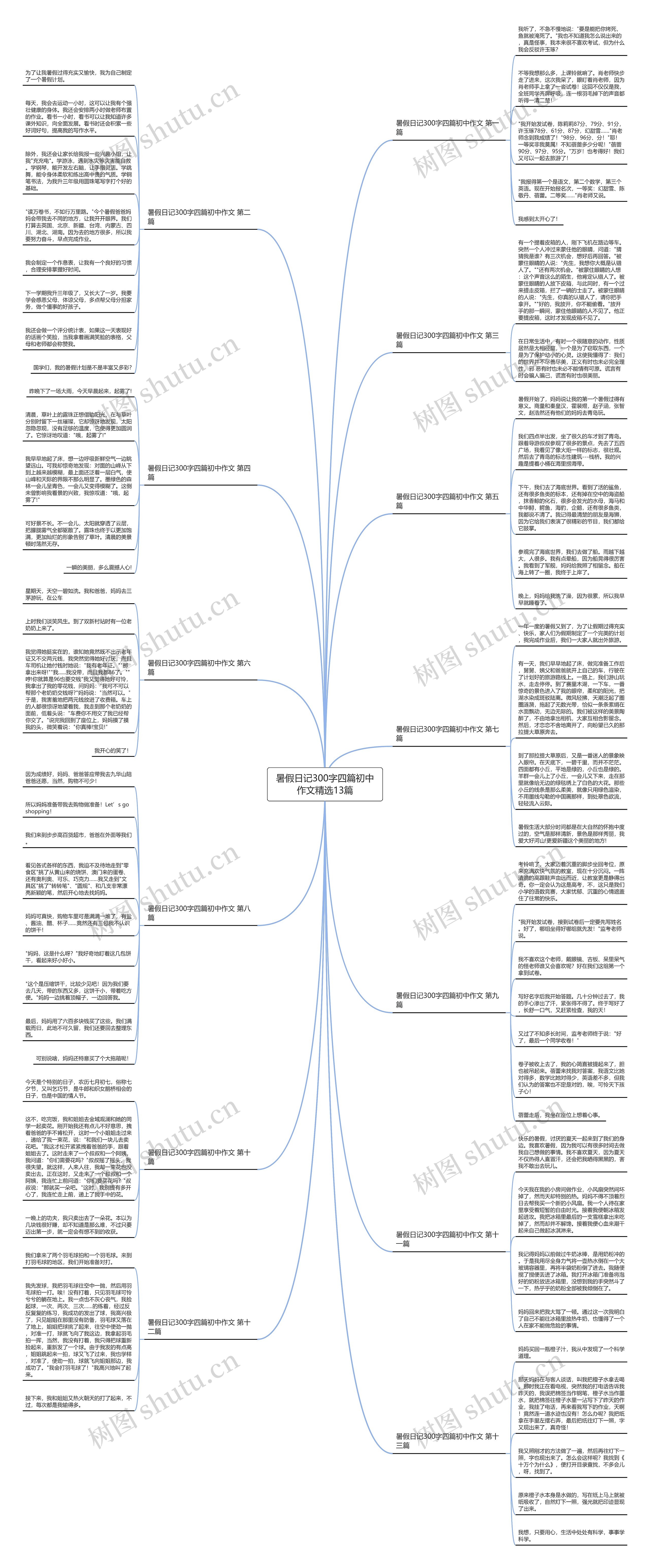 暑假日记300字四篇初中作文精选13篇思维导图