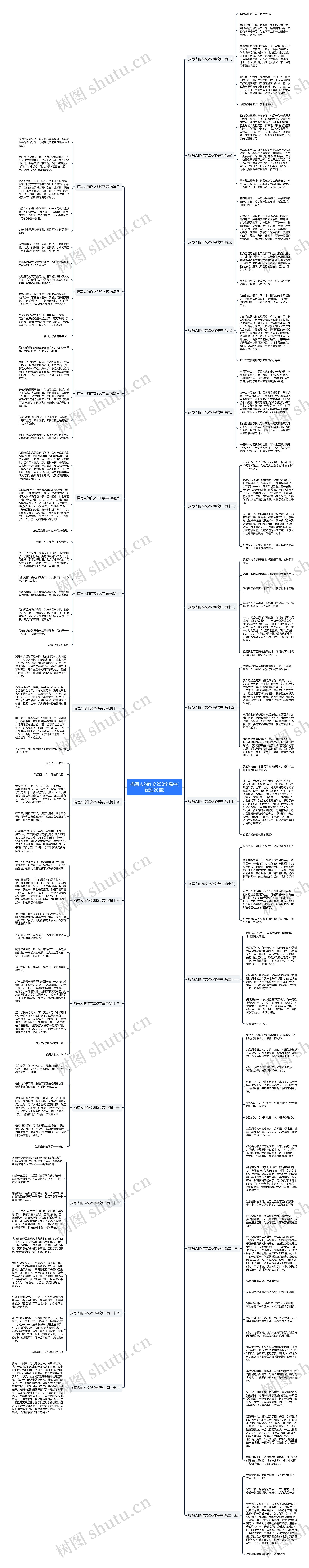 描写人的作文250字高中(优选26篇)思维导图