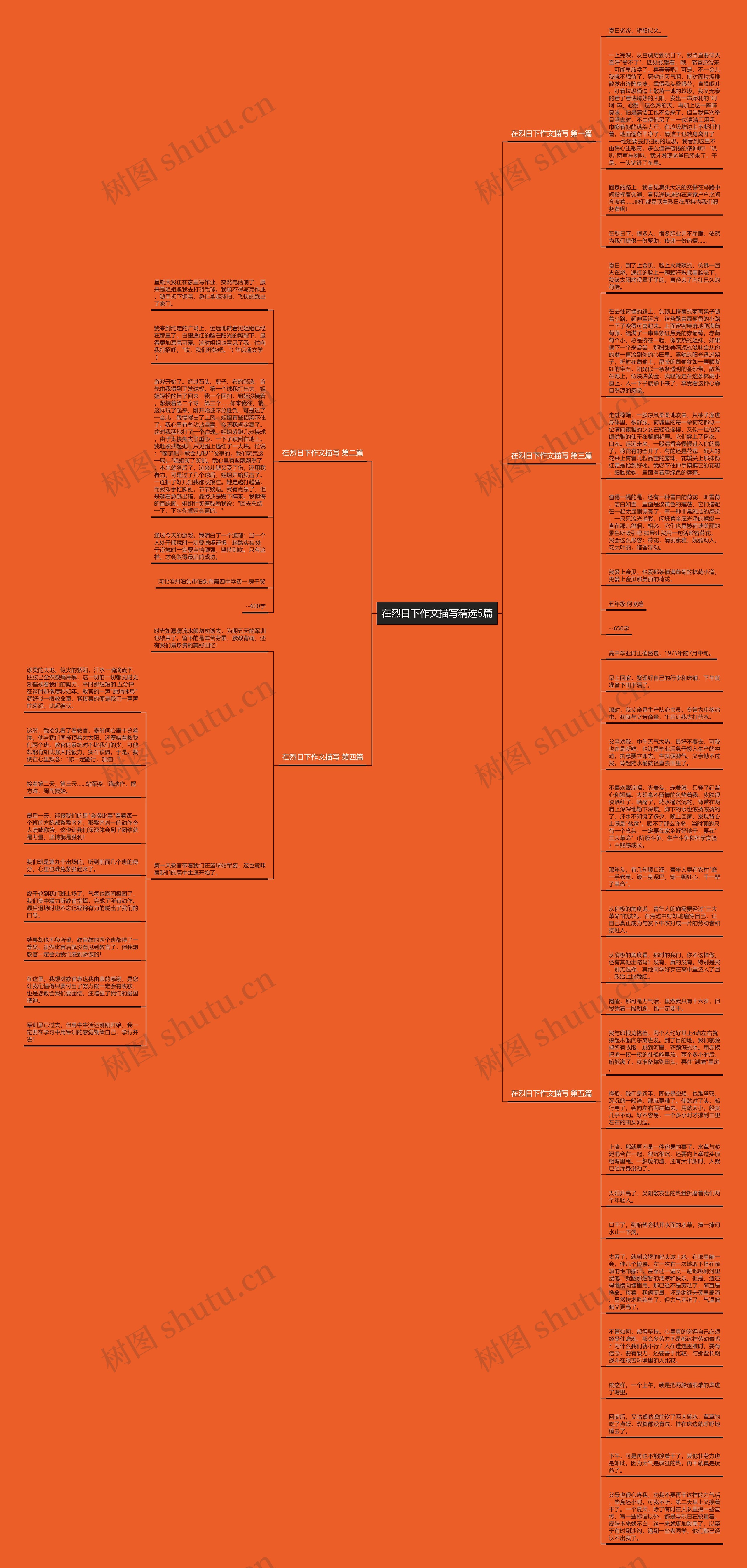 在烈日下作文描写精选5篇思维导图