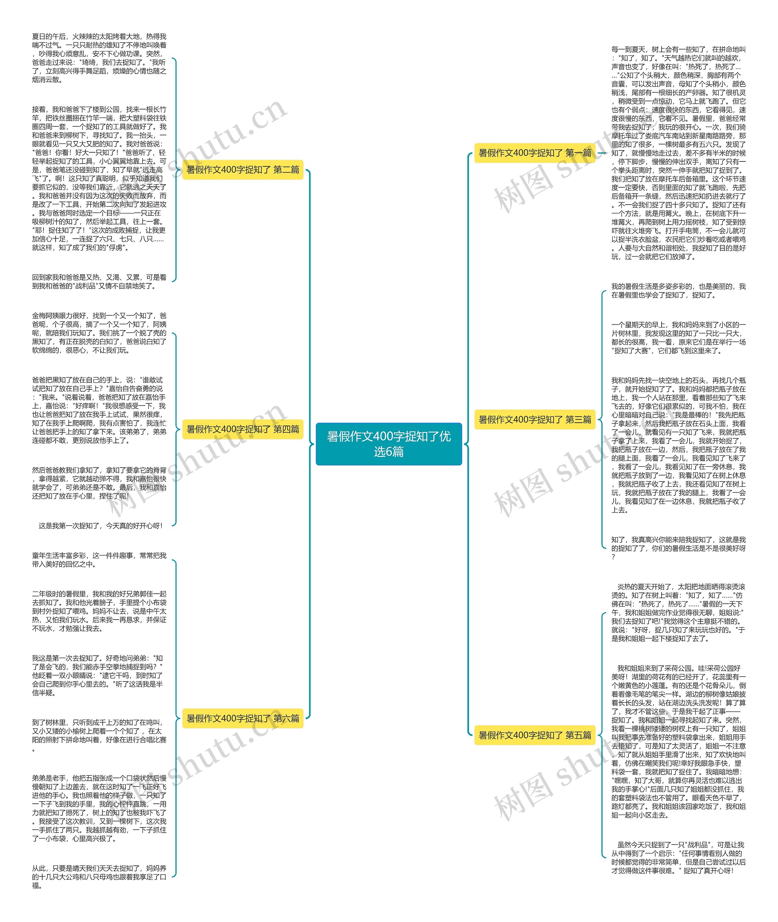 暑假作文400字捉知了优选6篇 暑假作文400字捉知了优选6篇