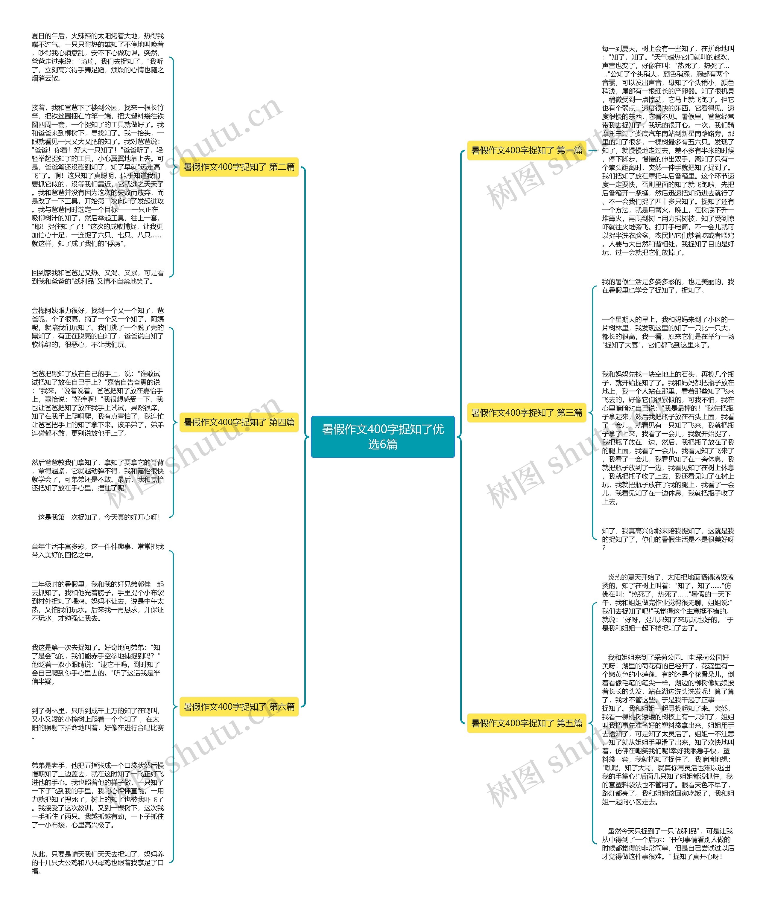 暑假作文400字捉知了优选6篇思维导图