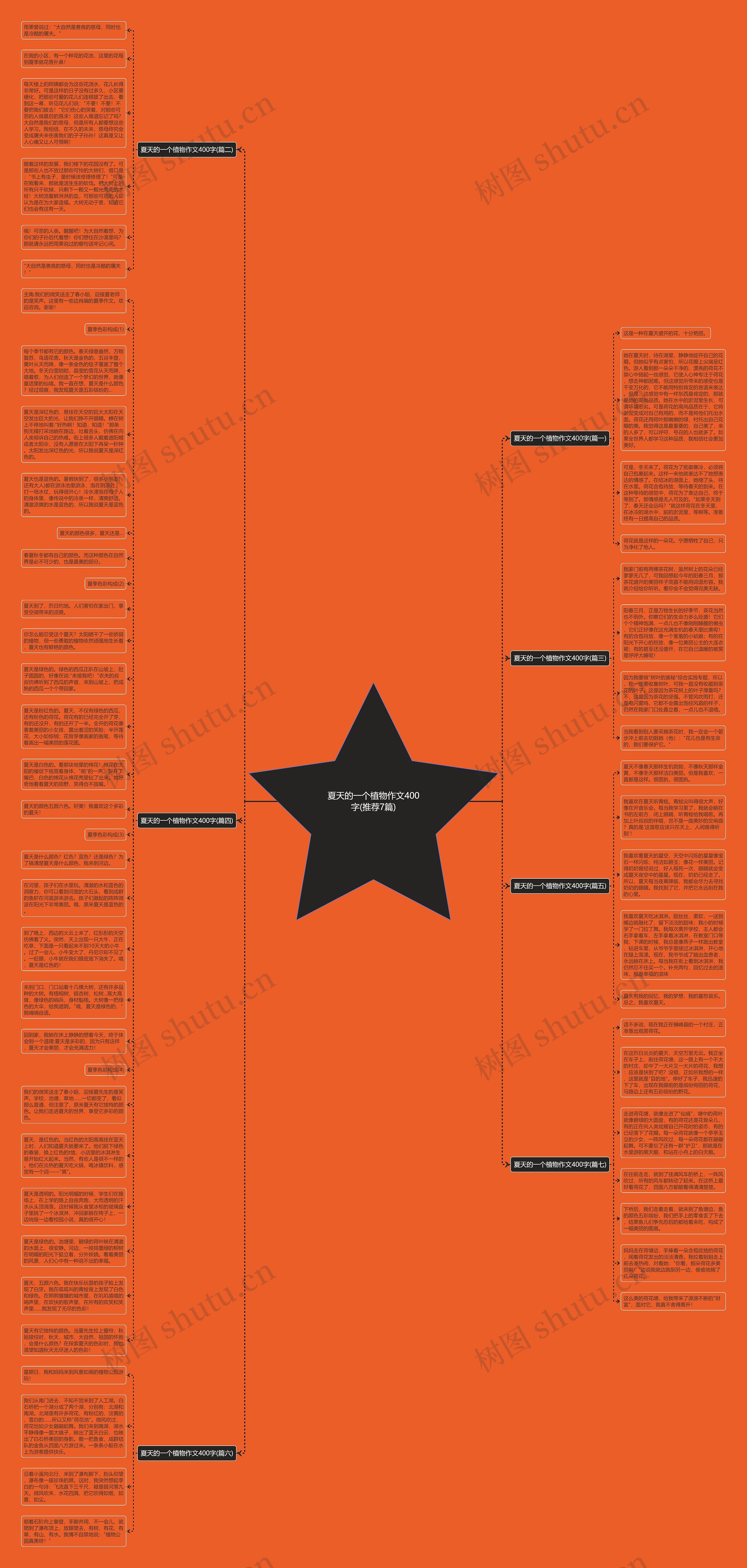 夏天的一个植物作文400字(推荐7篇)思维导图