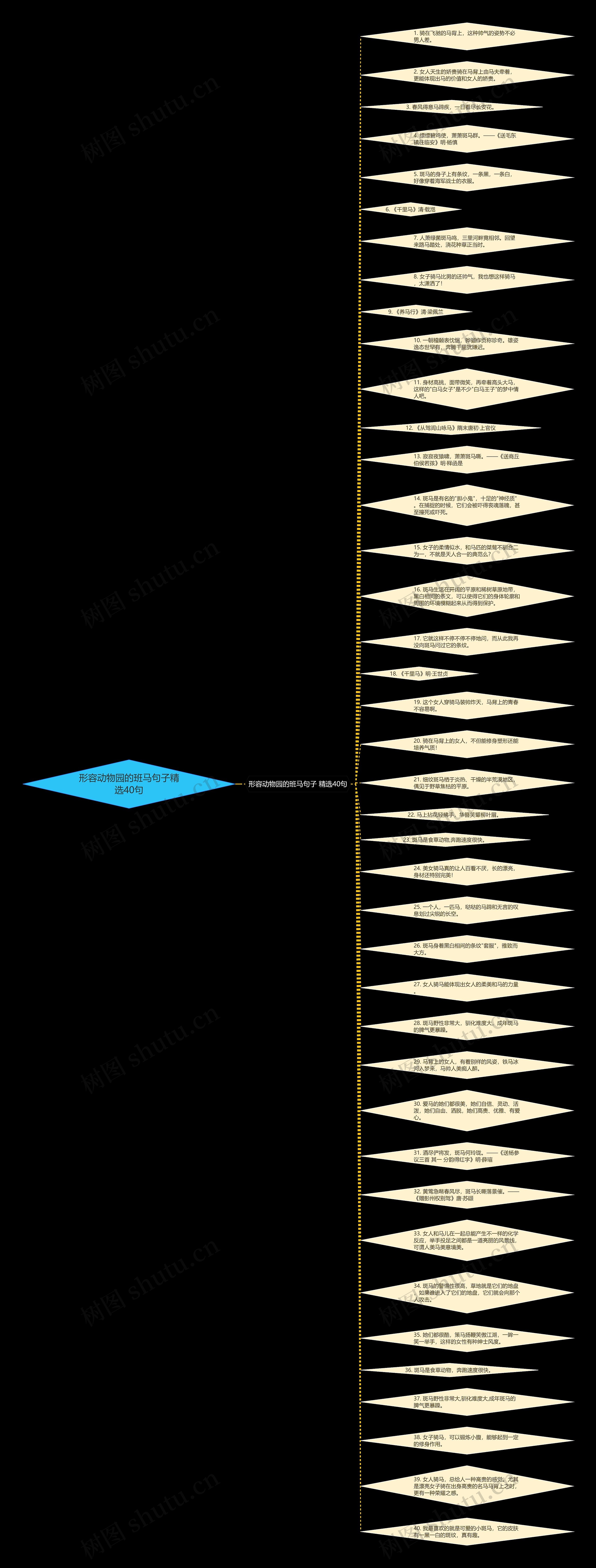 形容动物园的班马句子精选40句思维导图