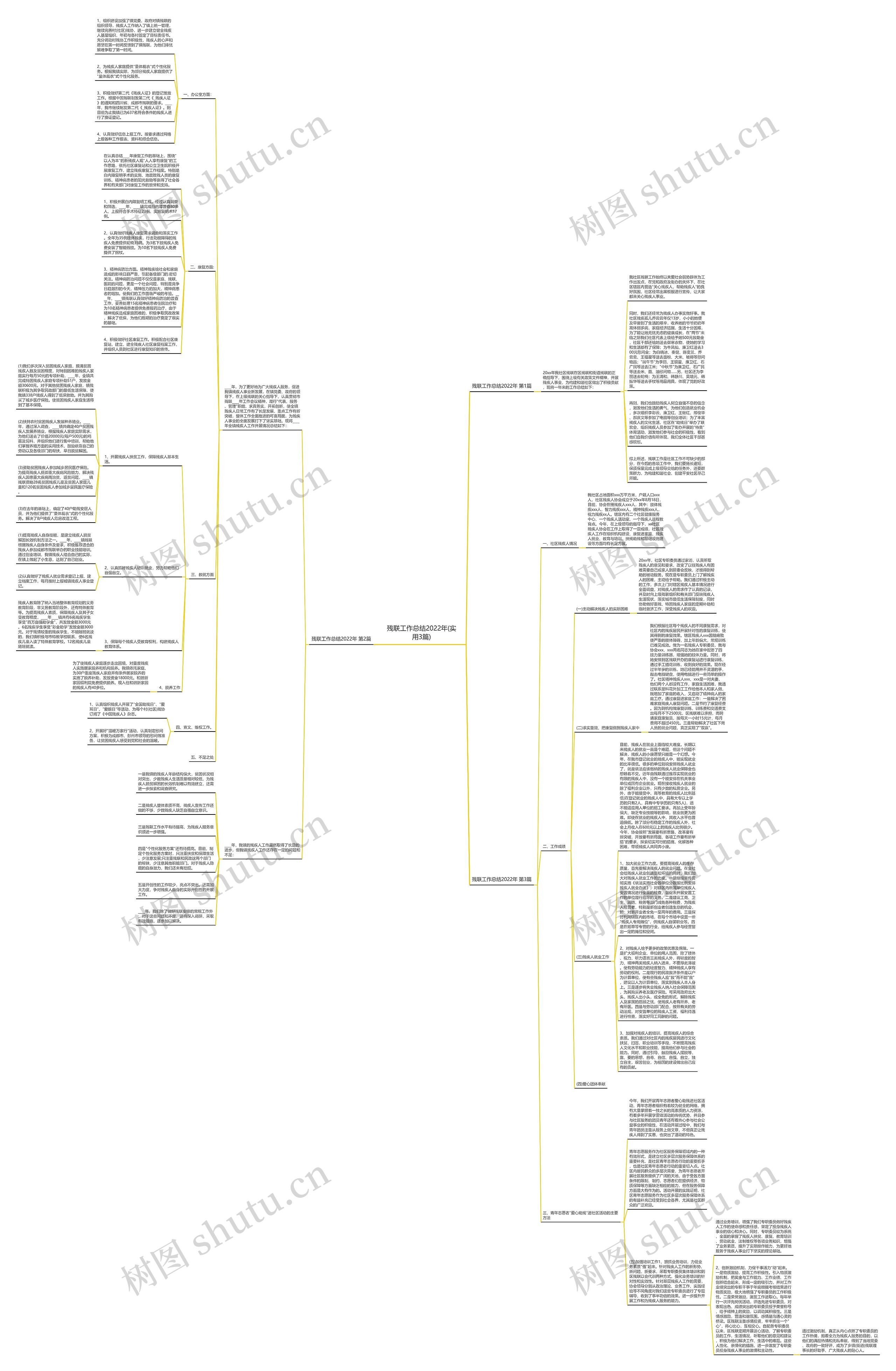 残联工作总结2022年(实用3篇)思维导图