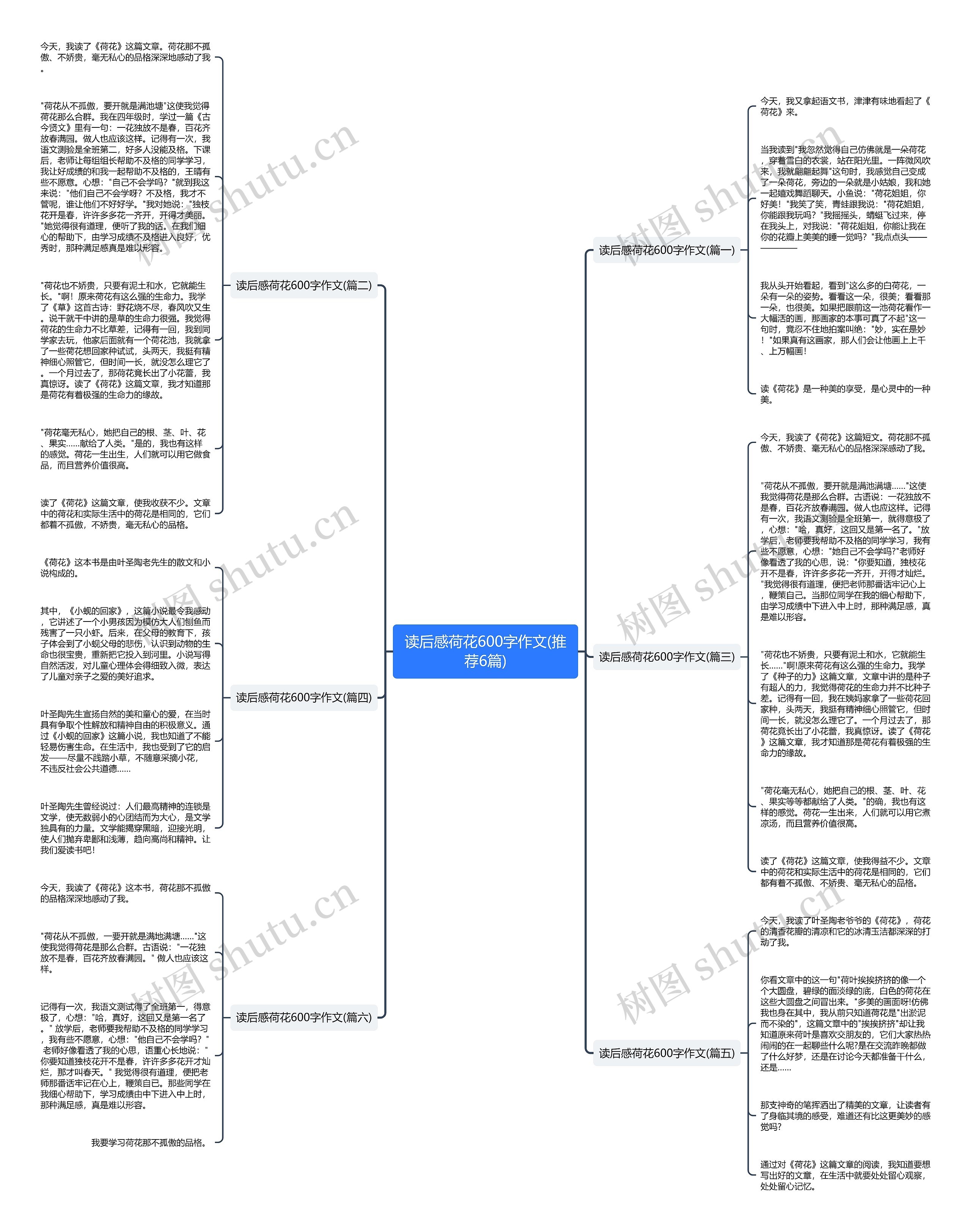 读后感荷花600字作文(推荐6篇)思维导图