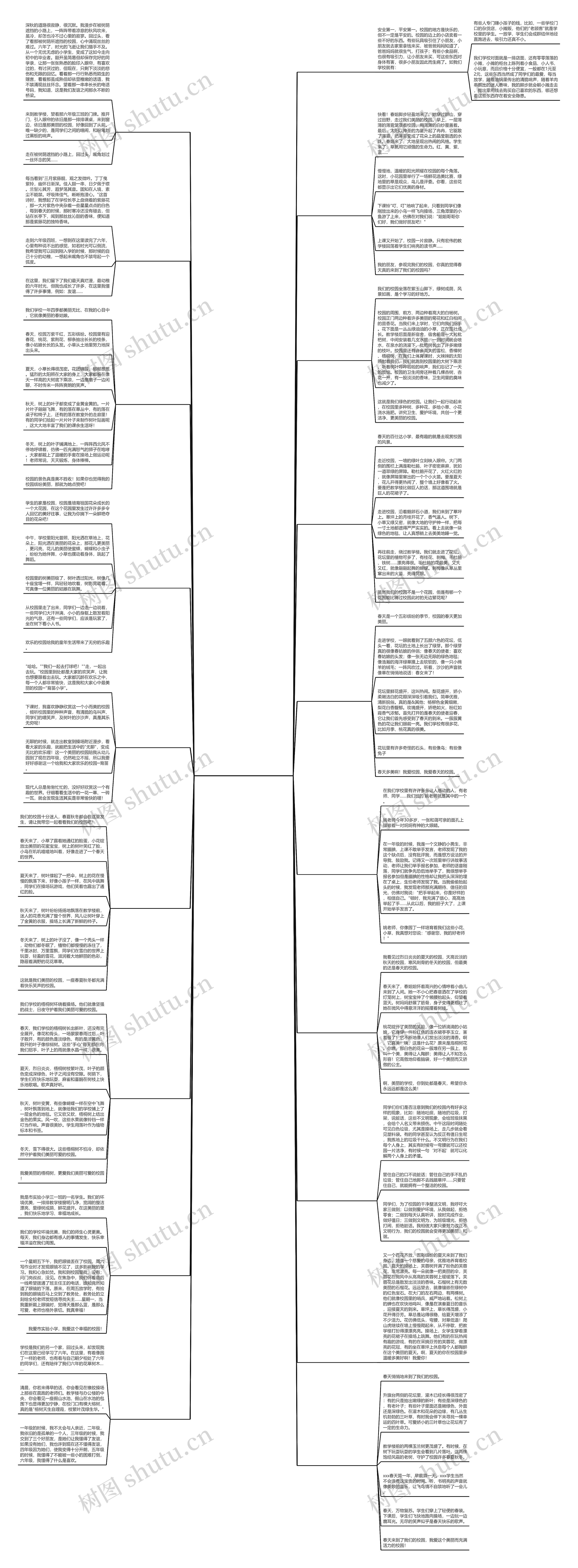 学校一日作文300字推荐19篇 学校一日作文300字推荐19篇