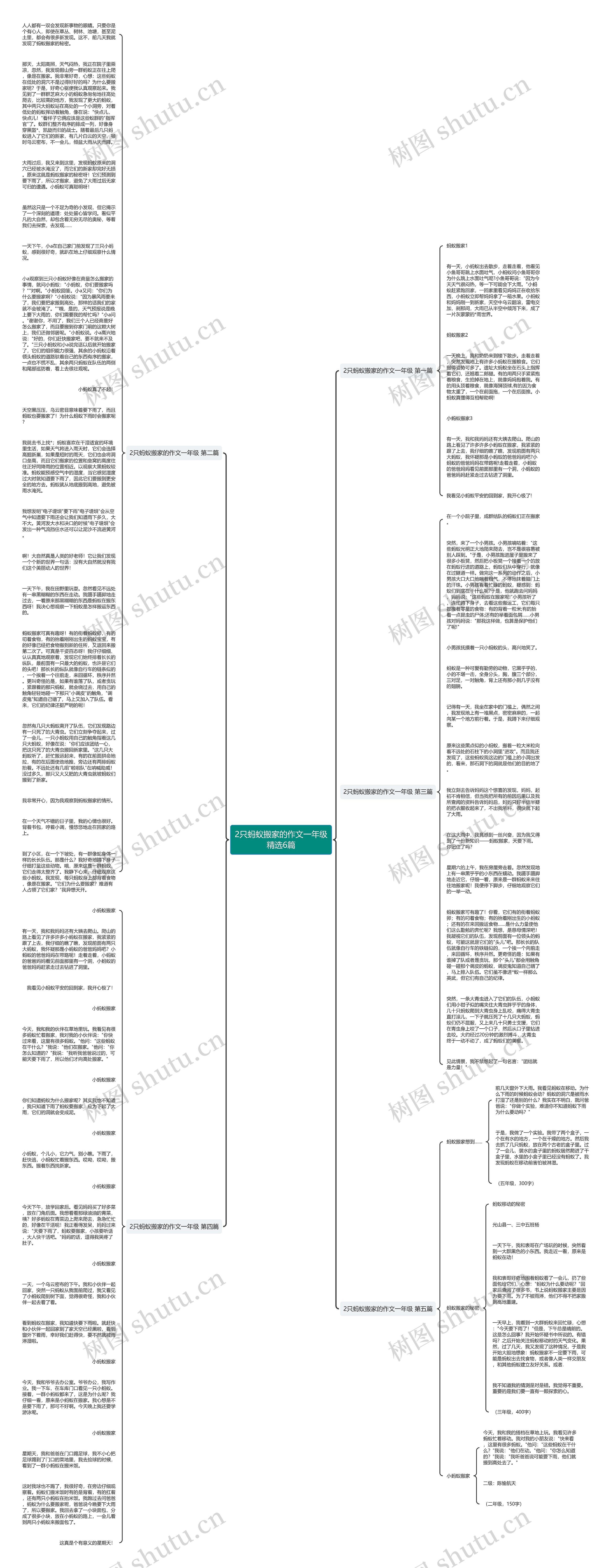 2只蚂蚁搬家的作文一年级精选6篇思维导图