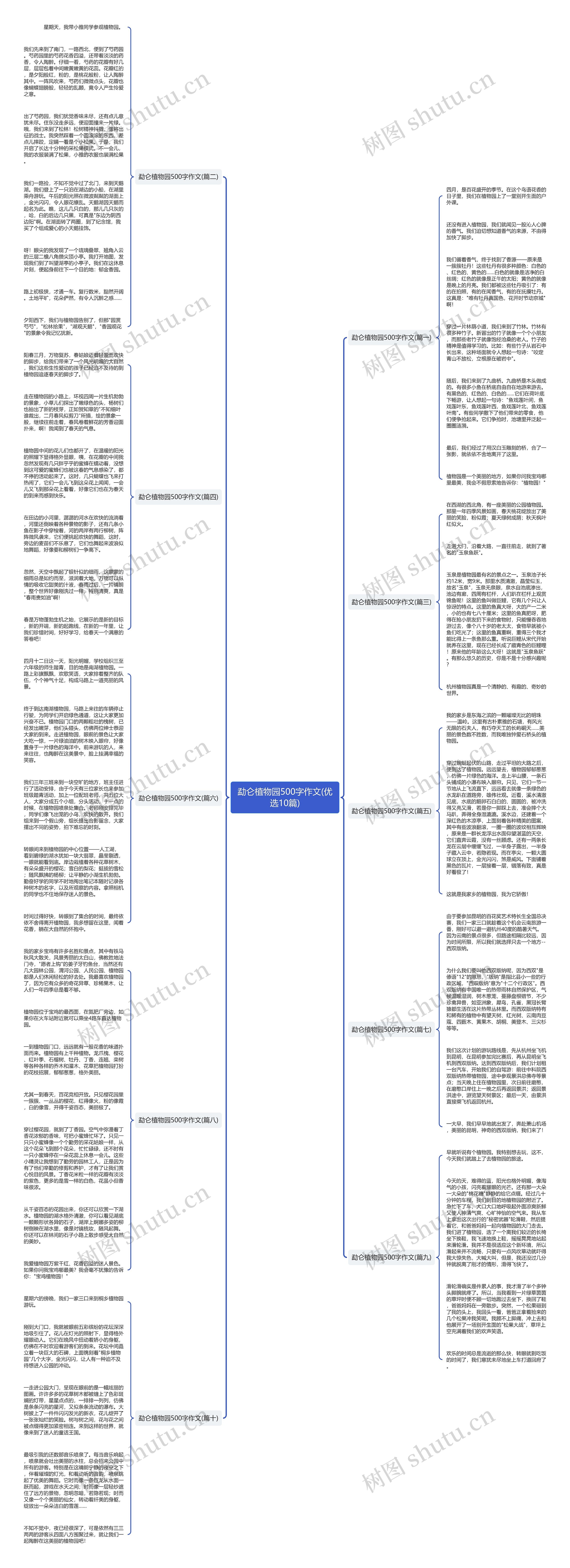 勐仑植物园500字作文(优选10篇)思维导图