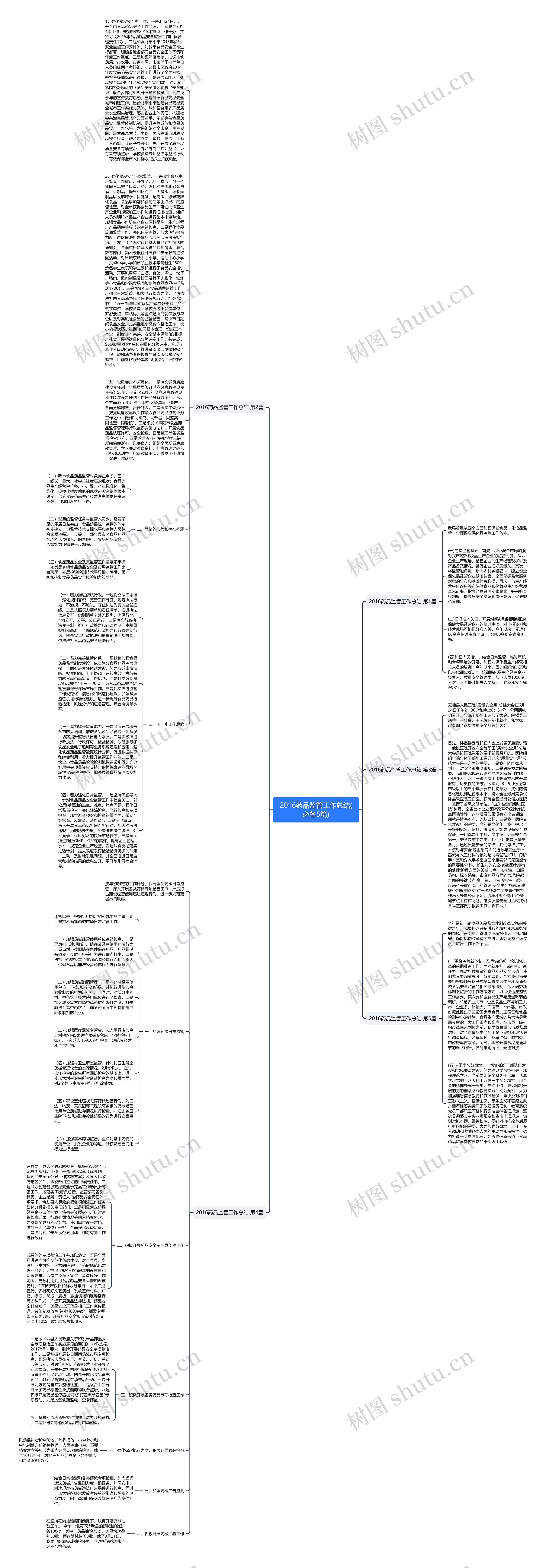 2016药品监管工作总结(必备5篇)思维导图
