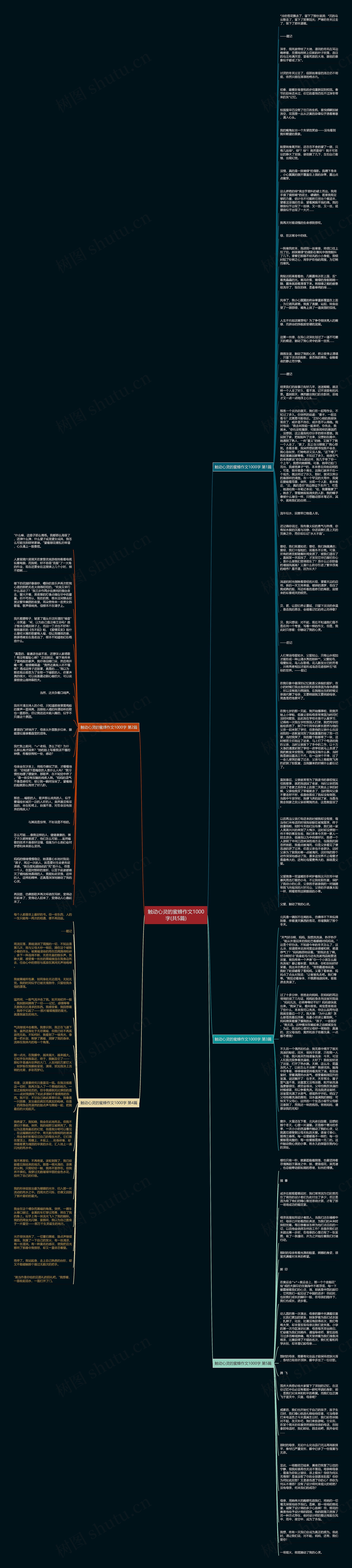 触动心灵的蜜蜂作文1000字(共5篇)思维导图