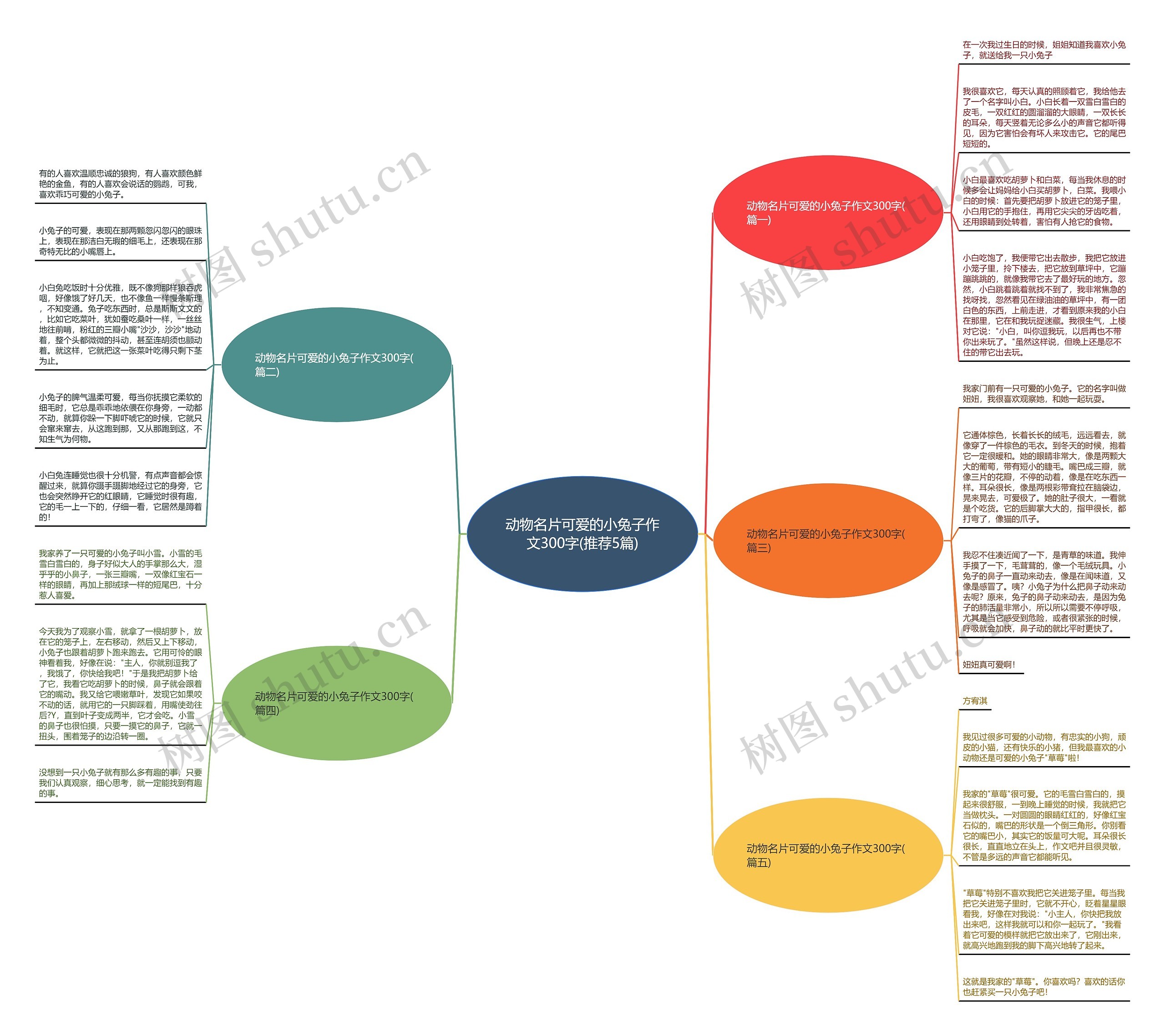 动物名片可爱的小兔子作文300字(推荐5篇) 动物名片可爱的小兔子作文300字(推荐5篇)