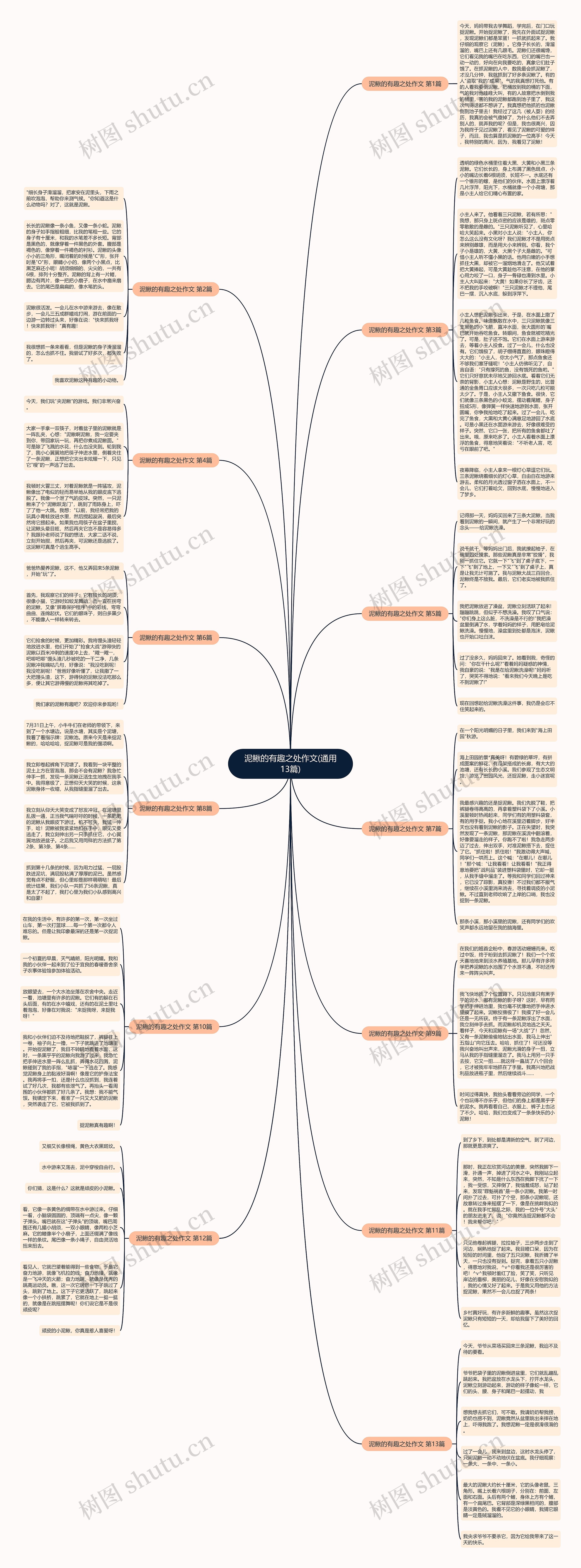 泥鳅的有趣之处作文(通用13篇)思维导图
