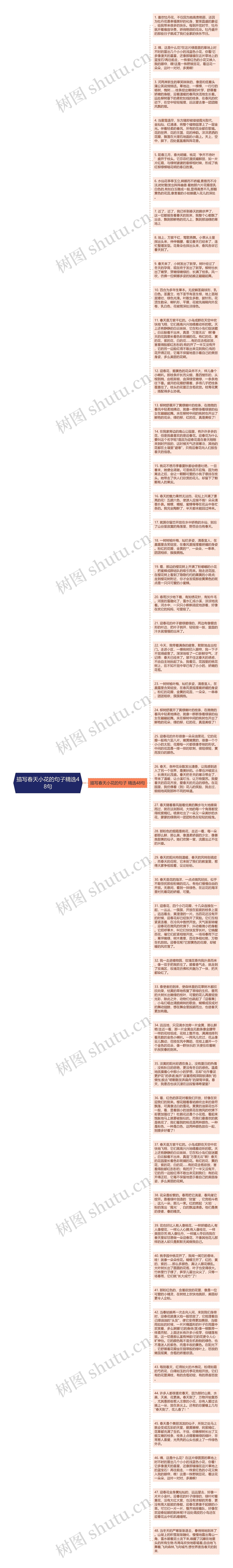 描写春天小花的句子精选48句