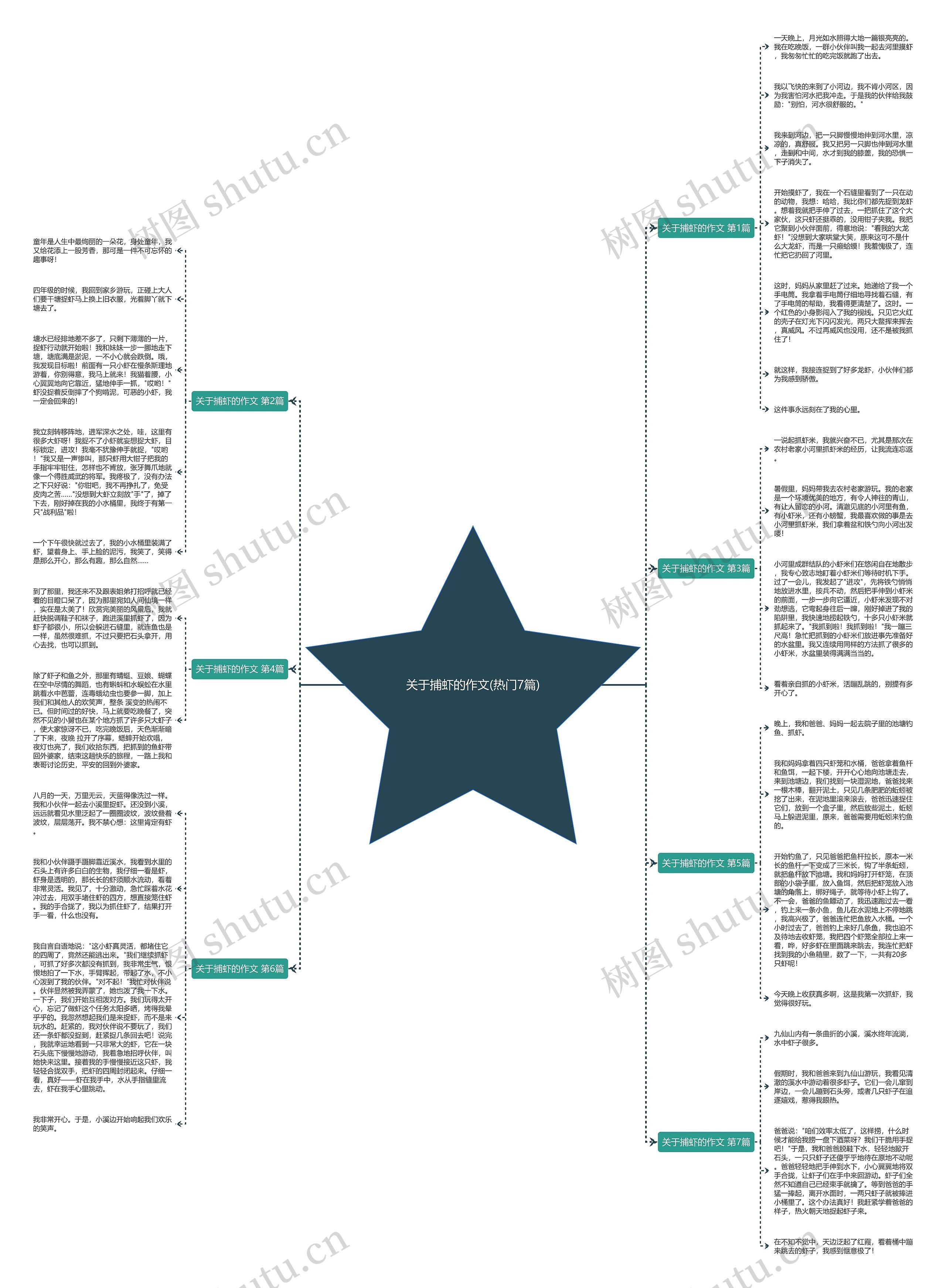 关于捕虾的作文(热门7篇) 关于捕虾的作文(热门7篇)