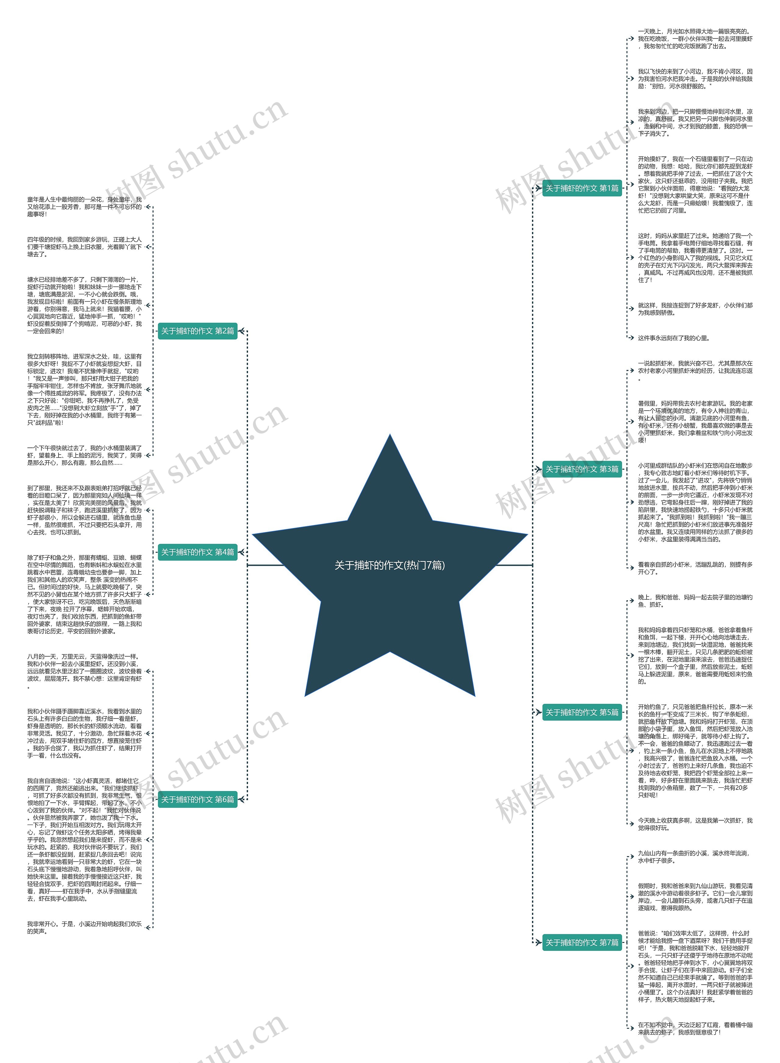 关于捕虾的作文(热门7篇)思维导图